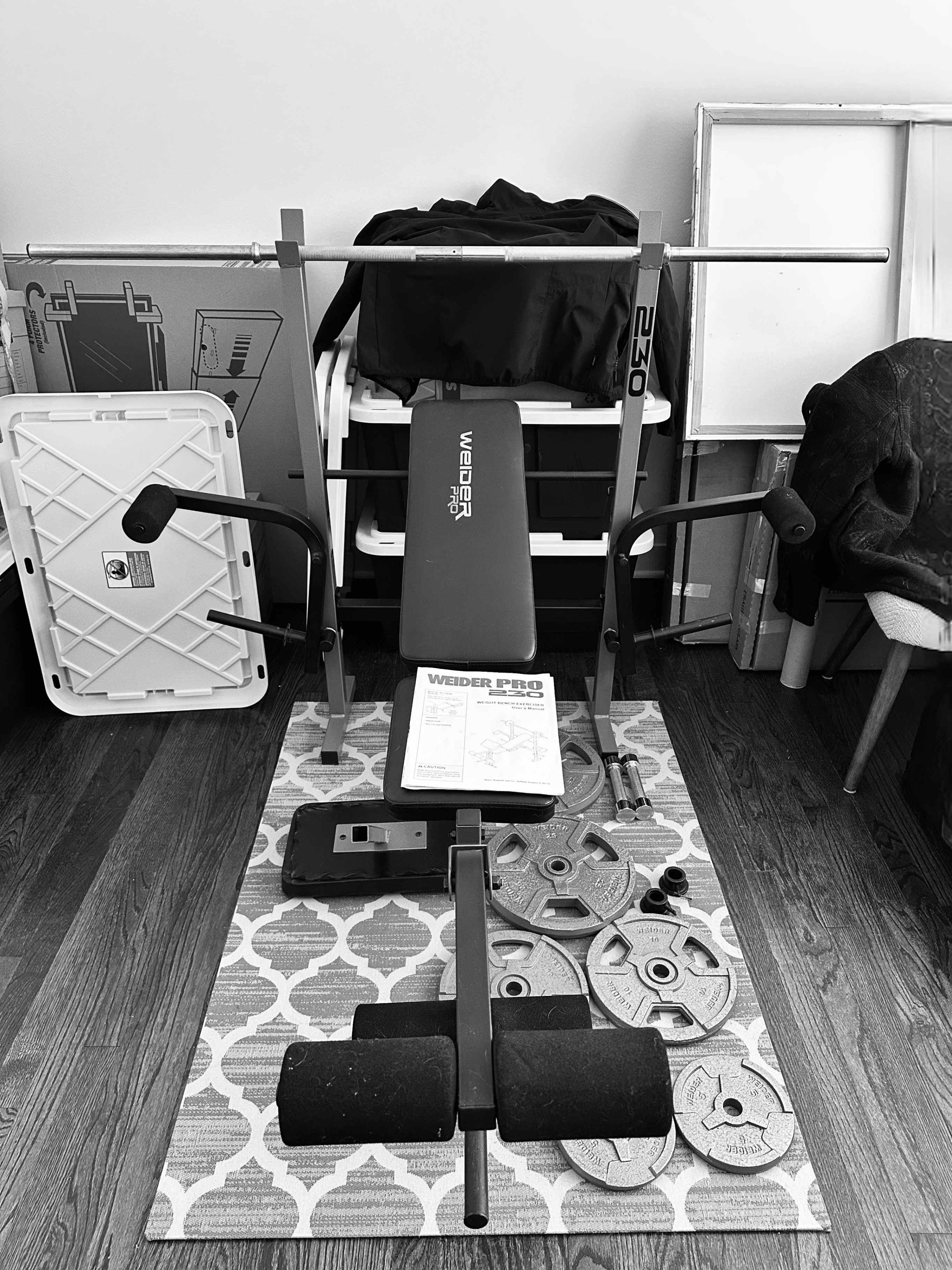 Weider Pro 230 Weight Bench with weights
