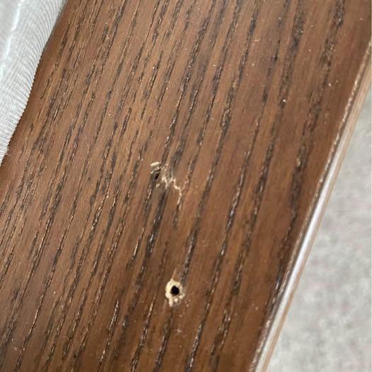 IKEA Wood Finish Bed Frame Queen Size  -Mattress for FREE - photo 3