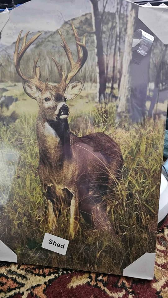Deer Wall Art