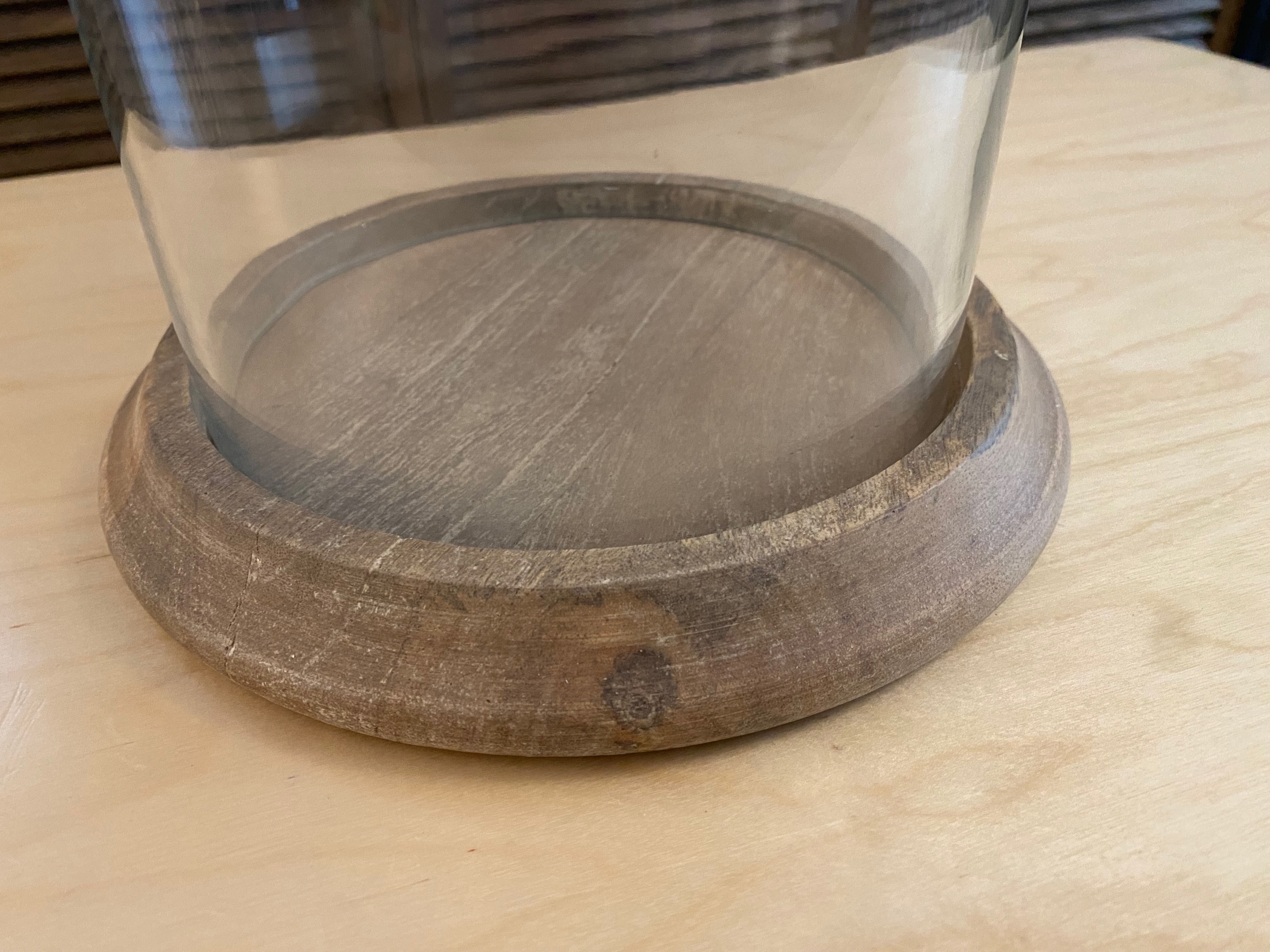 Pottery Barn Seadrift Glass Cloche – Coastal Decor - photo 2