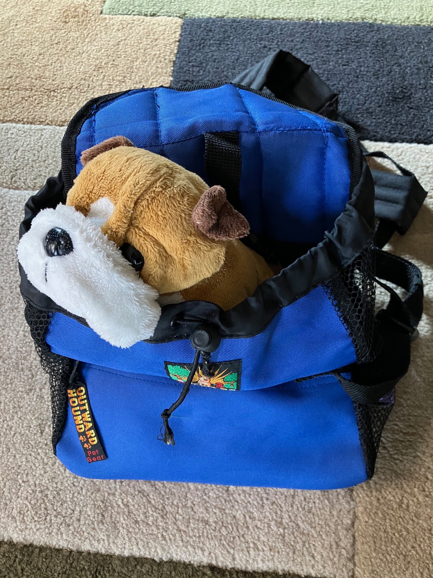 2 Small Dog Carriers - photo 3