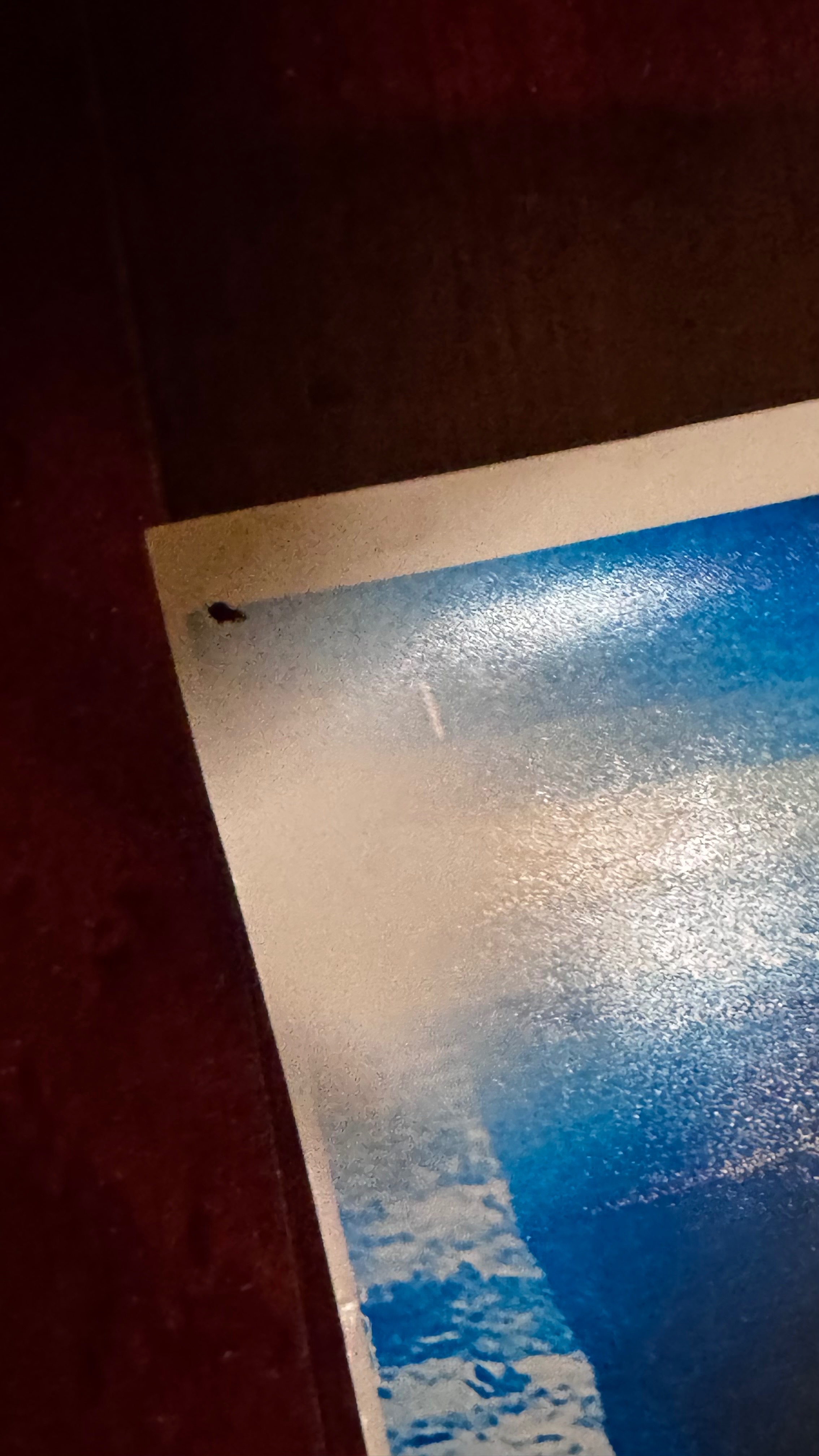 Star Trek Discovery Poster Printed By The Show's Art Department - photo 2