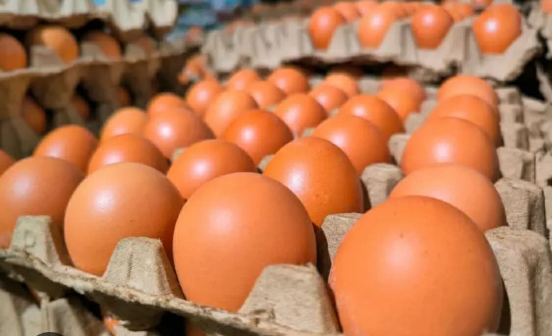 Farm Fresh Large organic Brown eggs. - photo 3