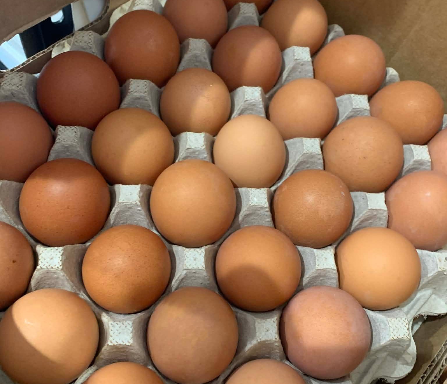 Brown eggs; Farm Fresh organic. - photo 2