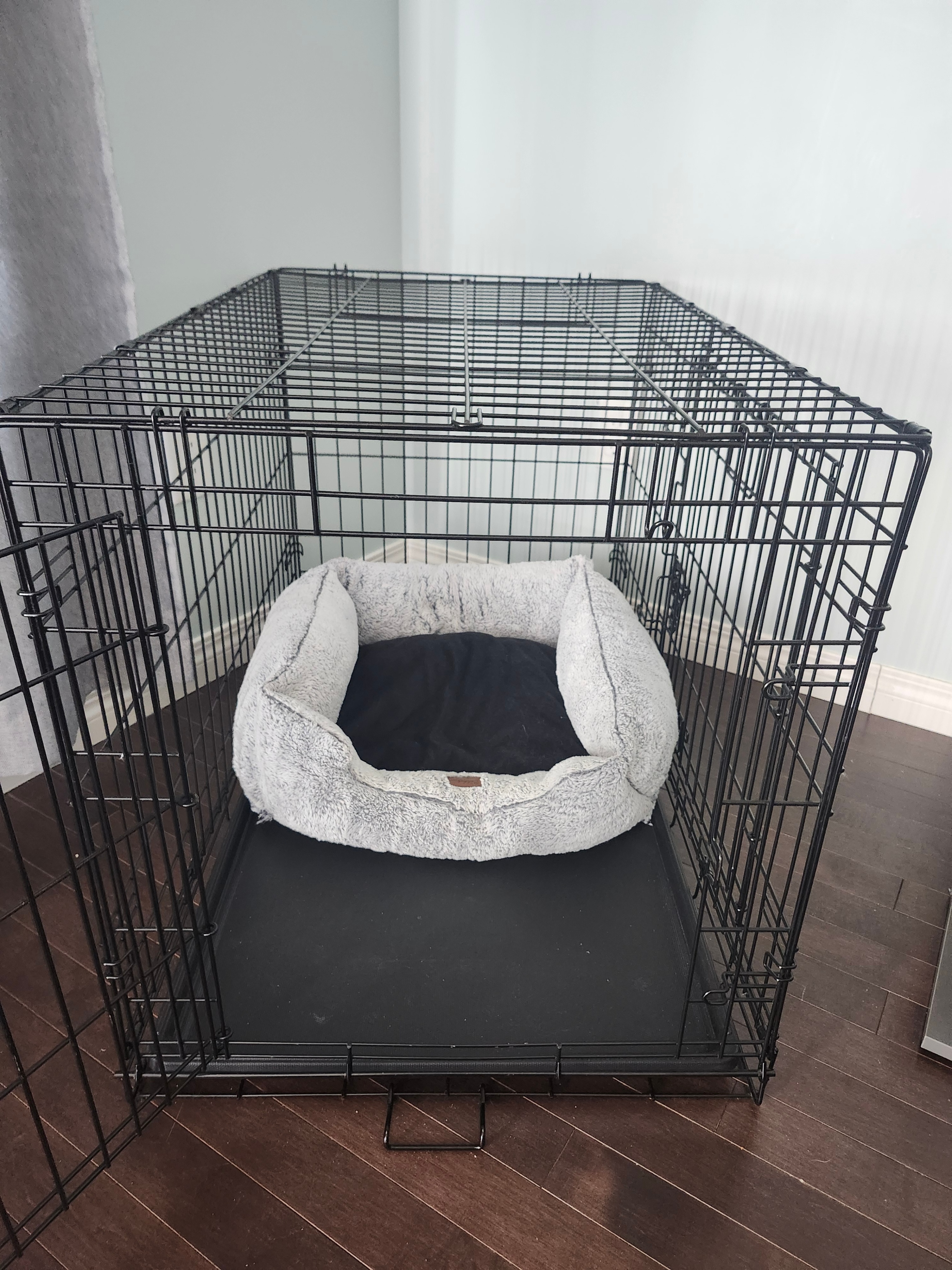 Double Door Wire Pet Crate (36.7 x 22.9 x 24.6 inches)