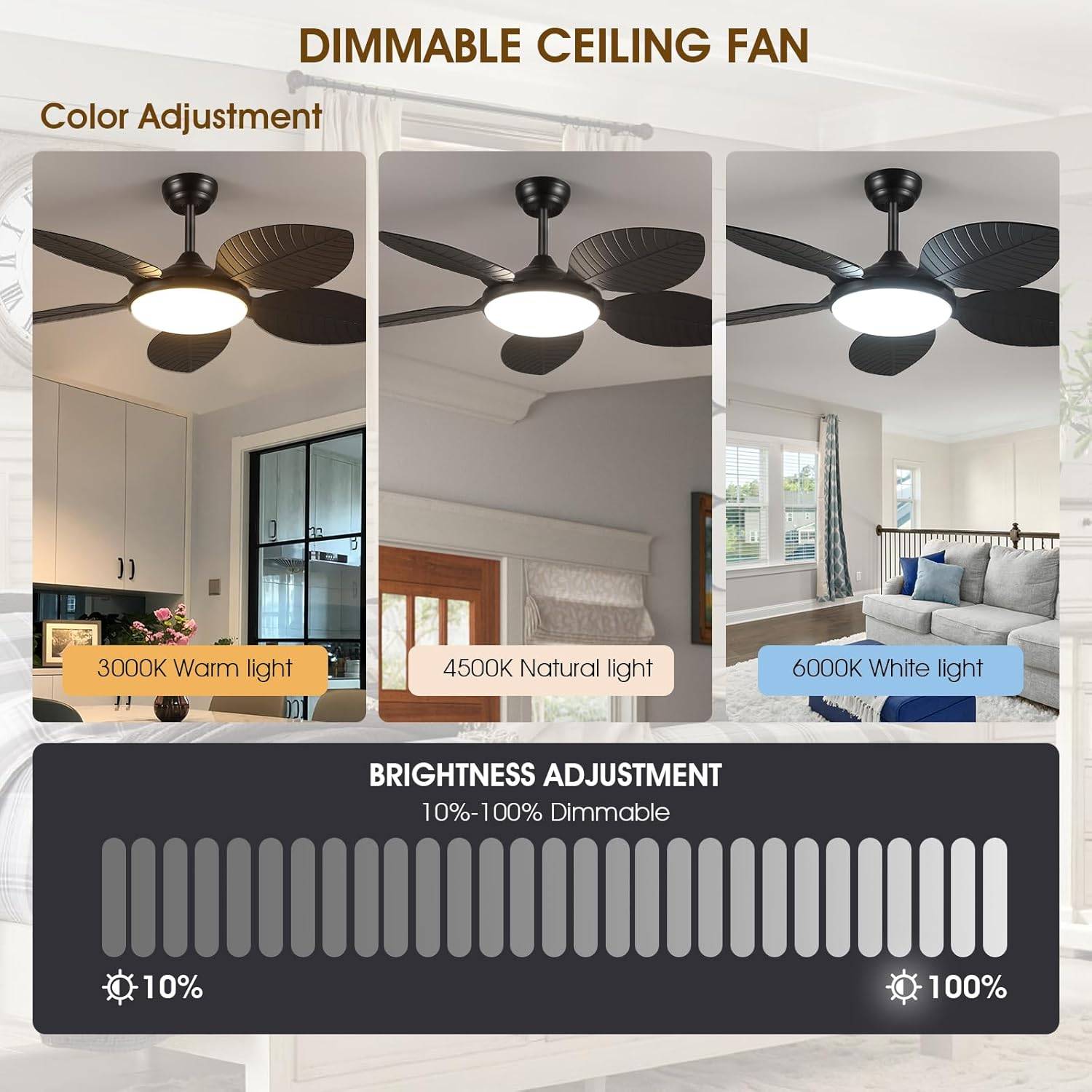 Ceiling Fan with Lights and Remote - photo 5