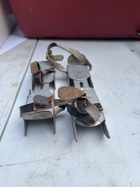 Vintage Dominion Bob Skates - photo 3
