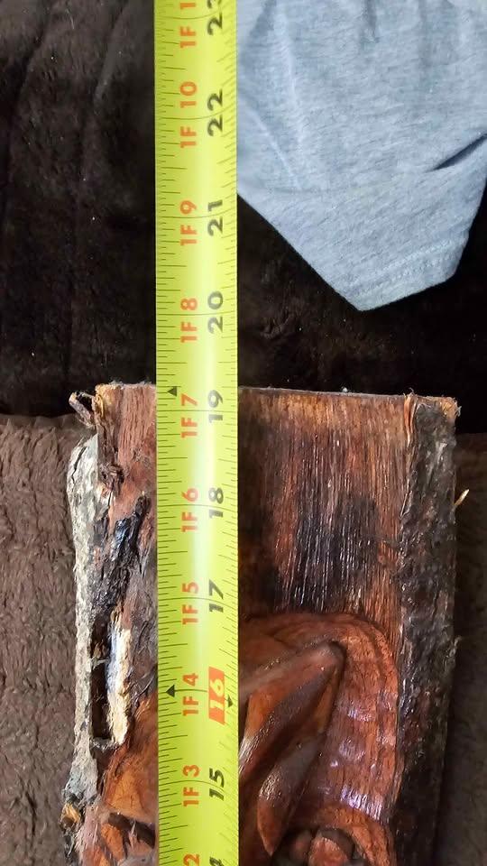 Hand Carved Wood Lizard Wall Art - photo 4