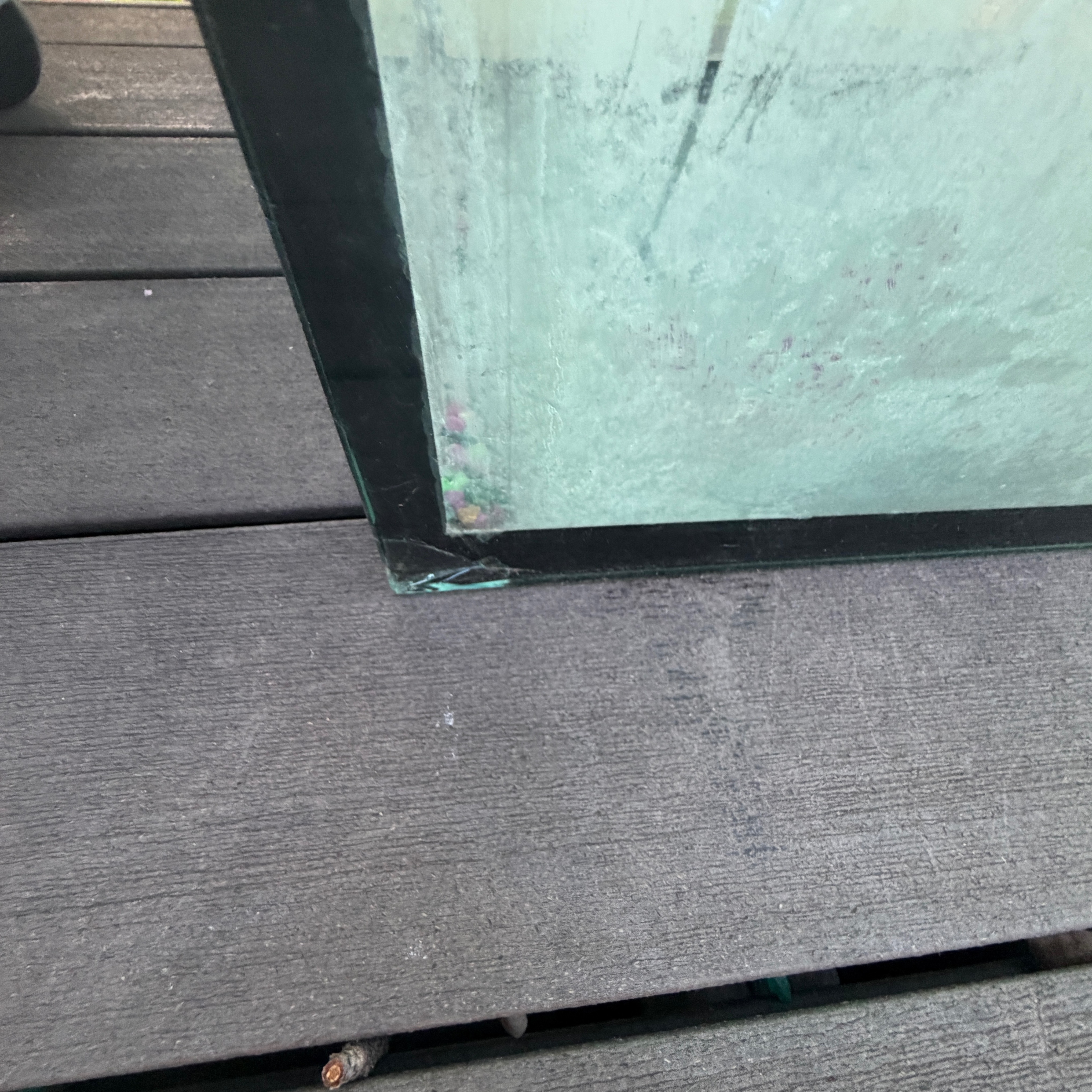 FREE 90 Gallon Aquarium Tank - photo 4