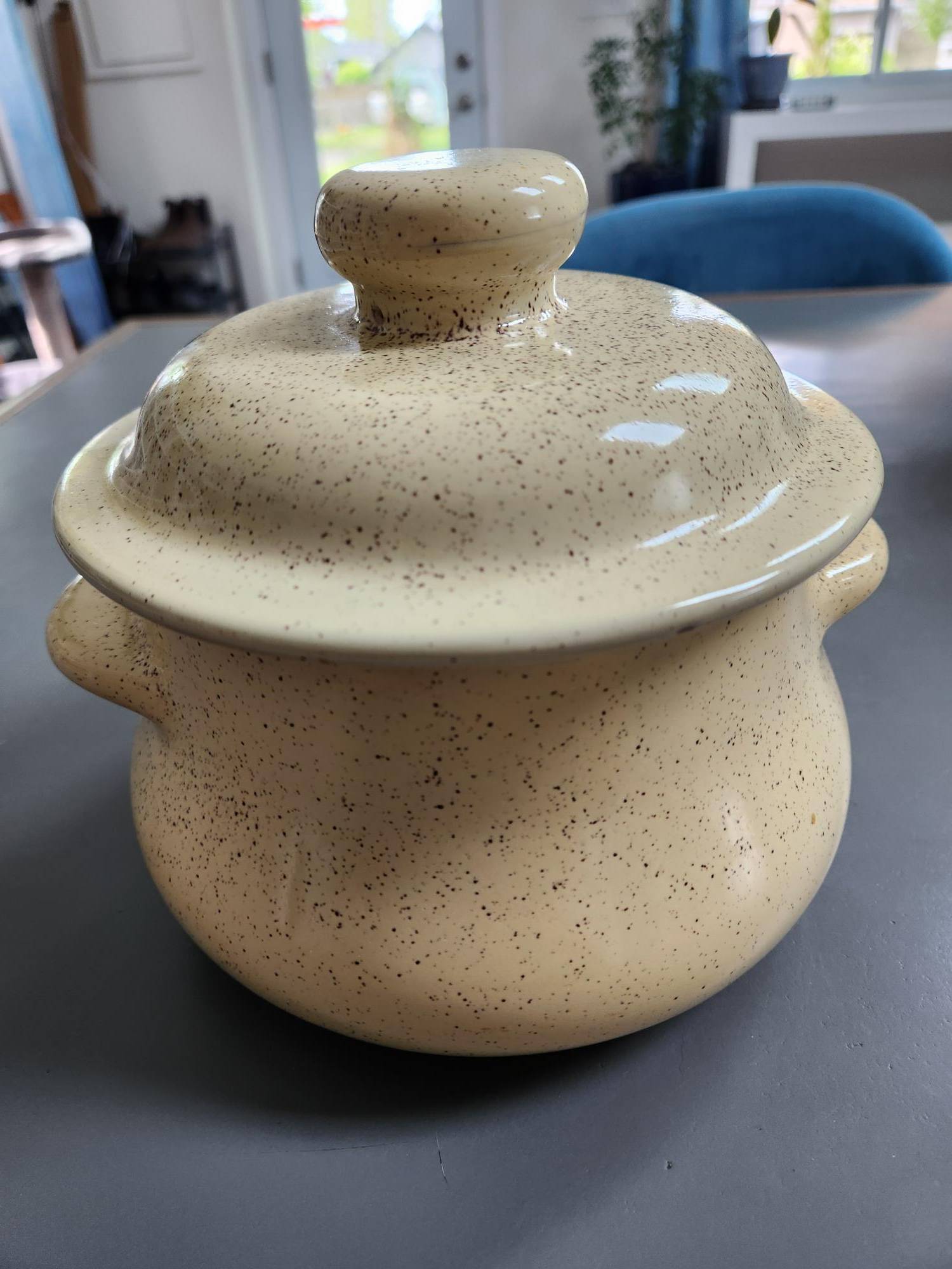 Blue Mountain Speckled Lidded Dish, Natural / Buttercream Colour