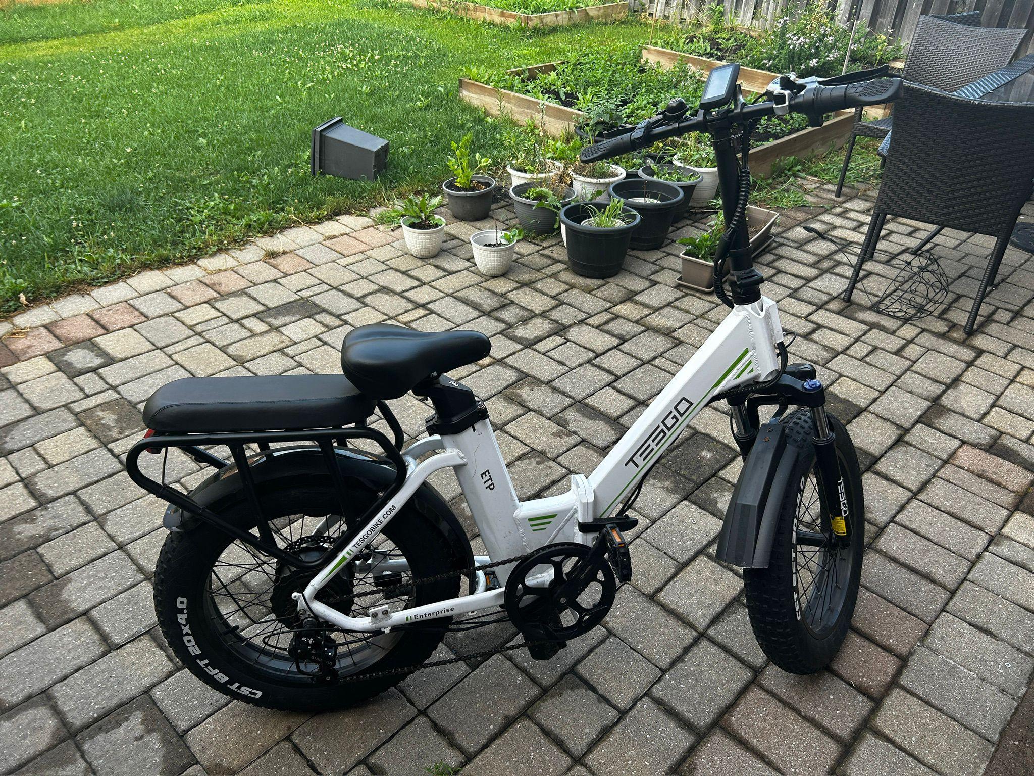 TESGO Folding E-Bike (Moped)
