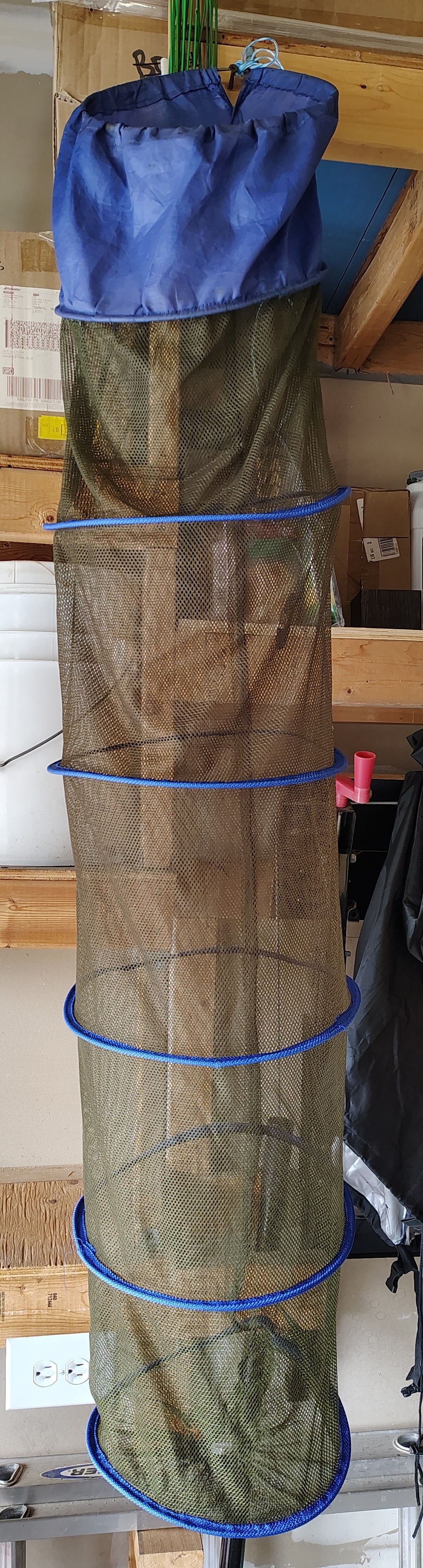 RARELY USED Collapsible Fishing Basket Cage Net