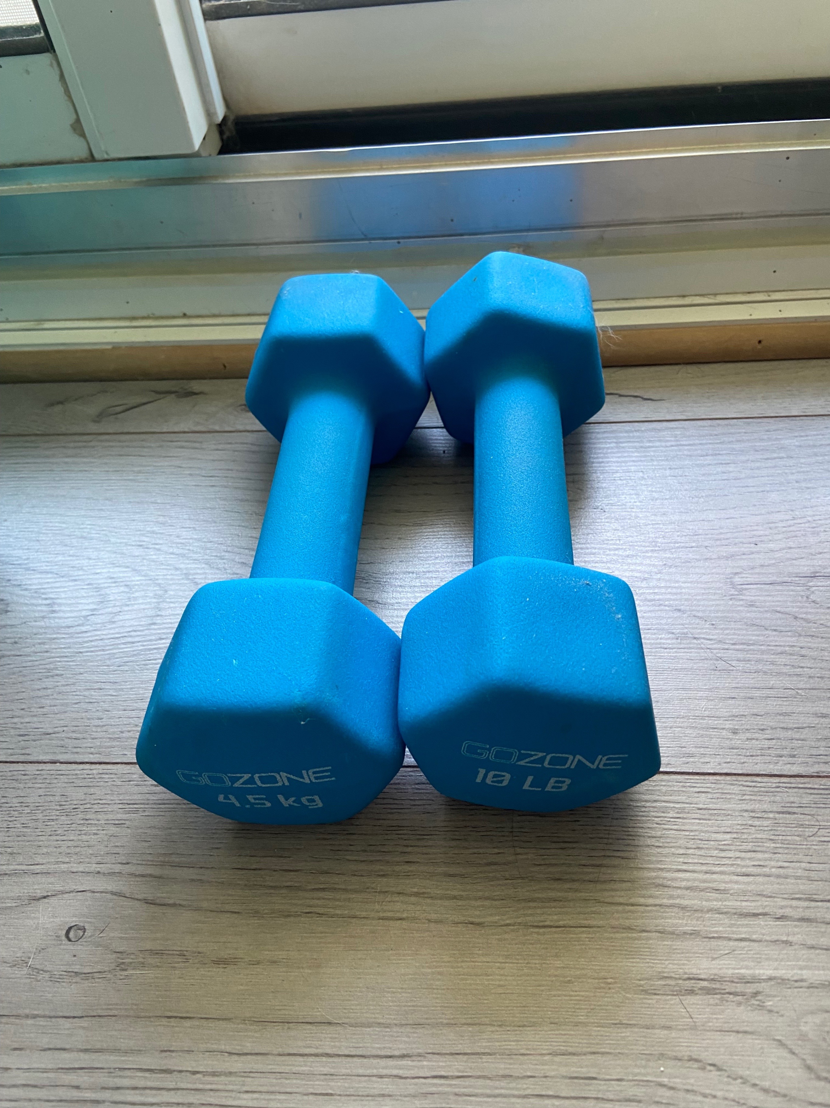 GoZone Dumbbell Set - 4.5kg - 10lb