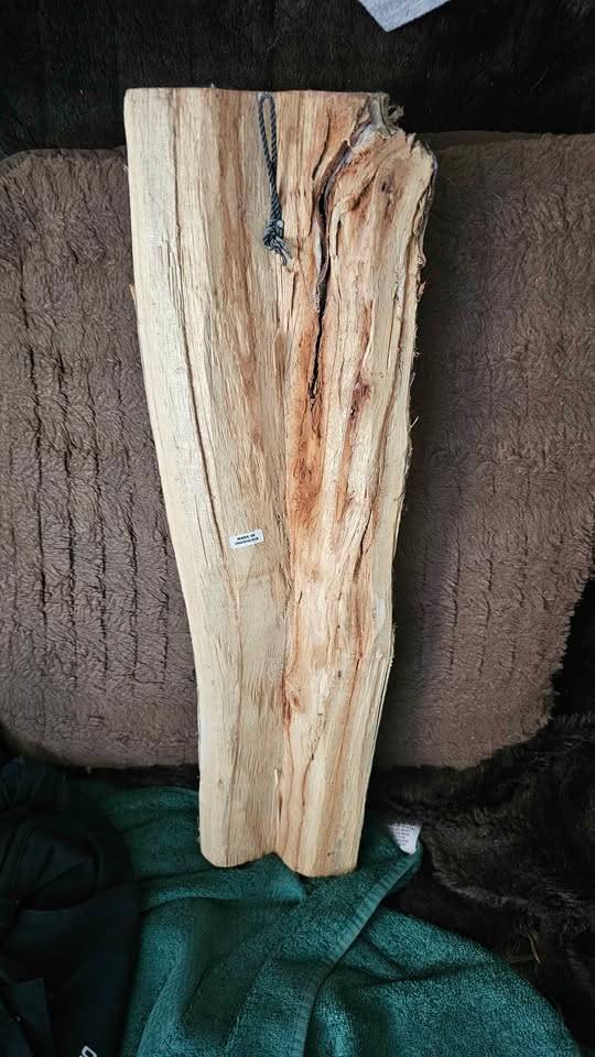 Hand Carved Wood Lizard Wall Art - photo 2