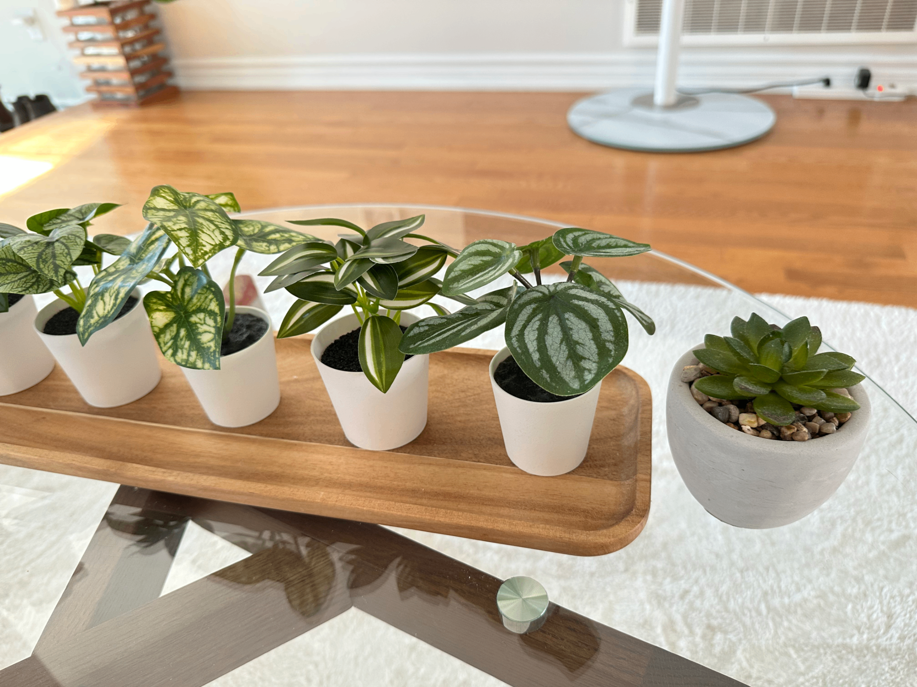 IKEA Home Decor Set: Artificial Plants, Glass Vase & Wooden Tray - photo 4