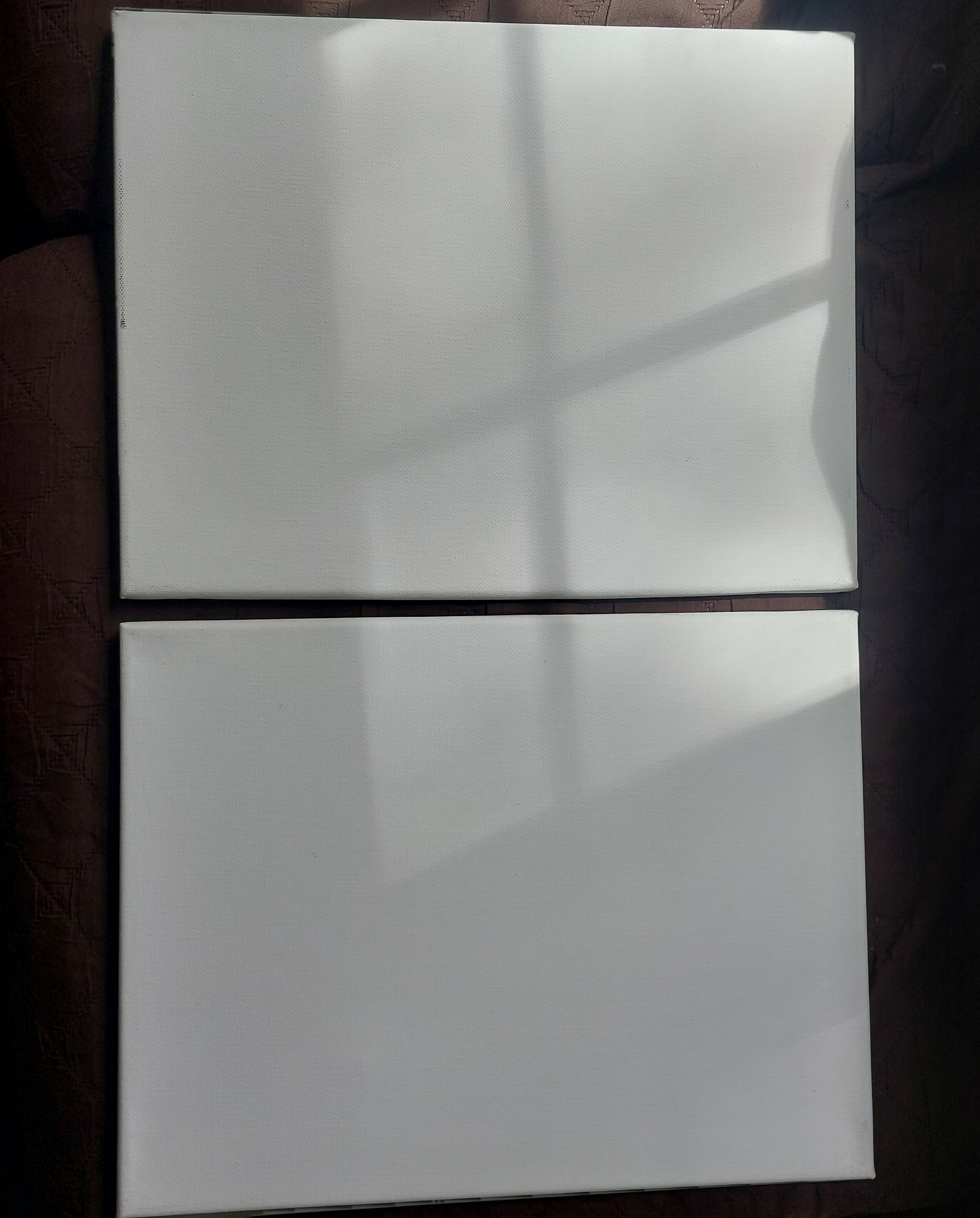 12 Blank Canvases for Oil and Acrylic Paints Multiple Sizes - photo 4