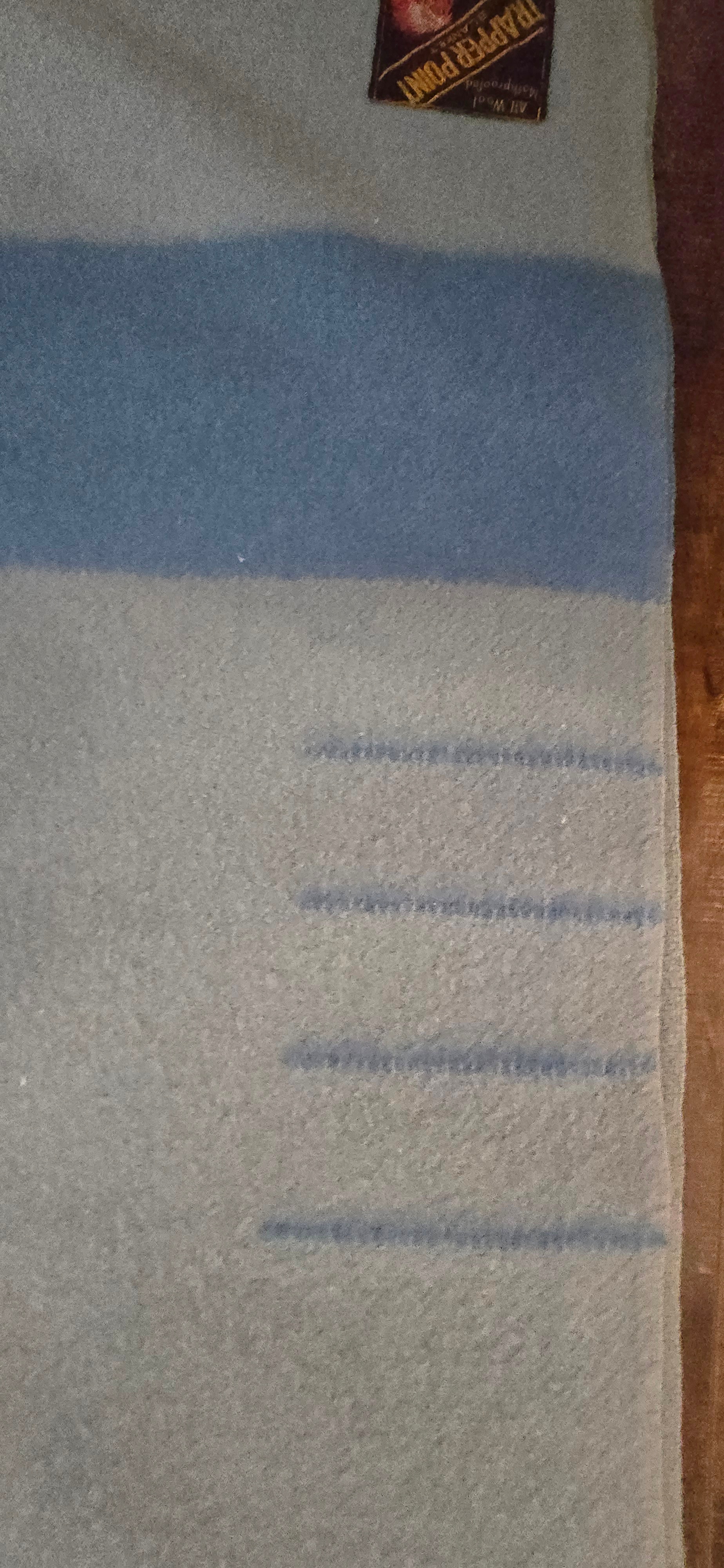 VINTAGE EATON'S 4 POINT 100% WOOL TRAPPER BLANKET BLUE on BLUE - photo 2