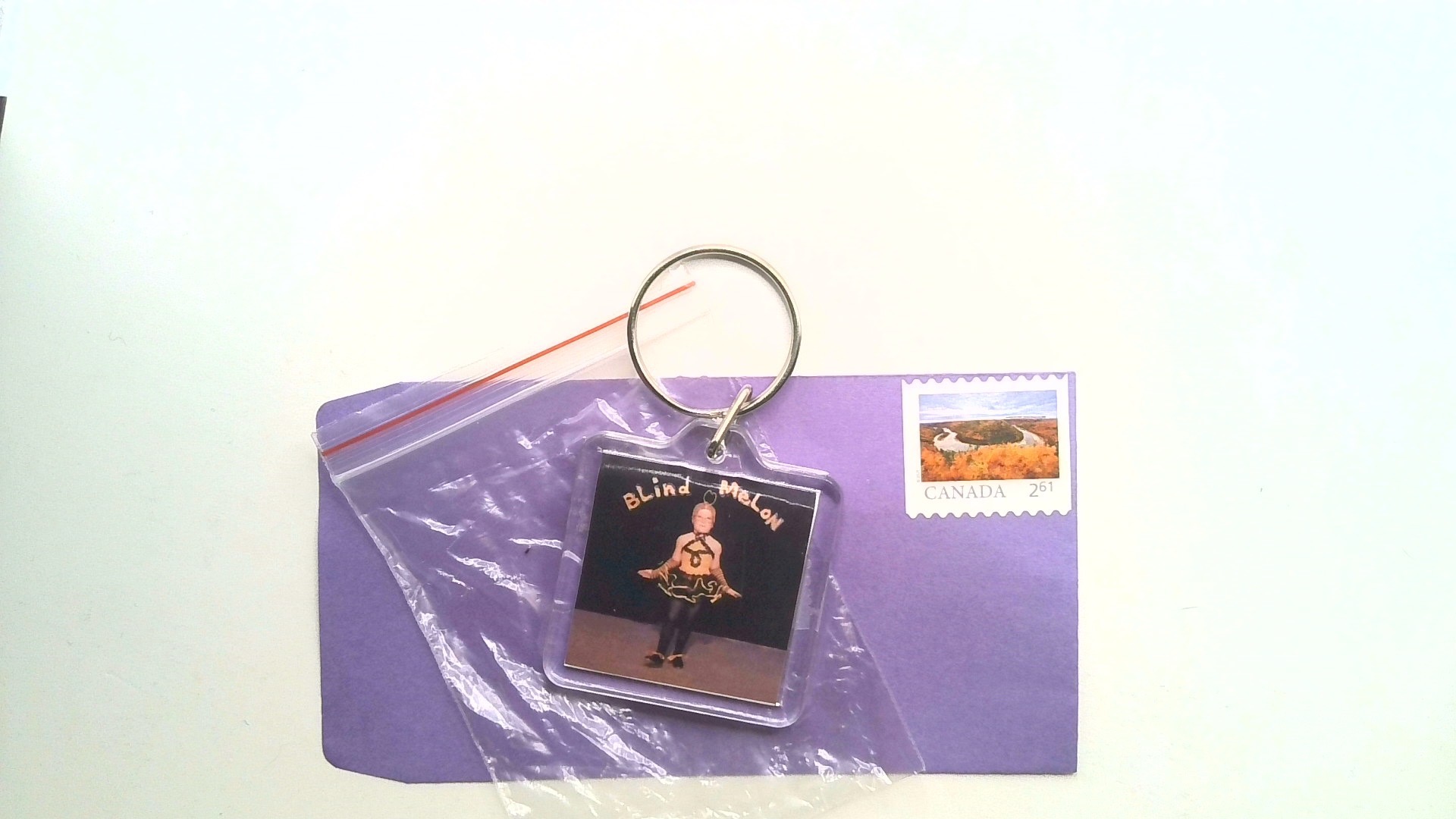 BLIND MELON ( ALBUM KEY CHAIN) FREE SHIPPING