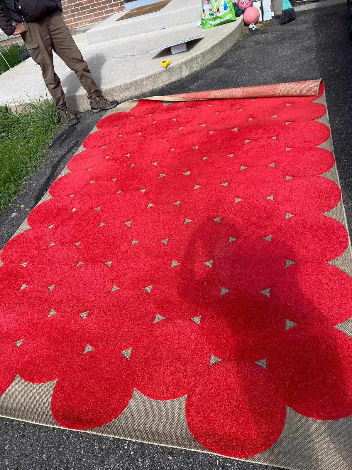Area Rug 79 in (6'  5" ) x 117 in (9' 9")