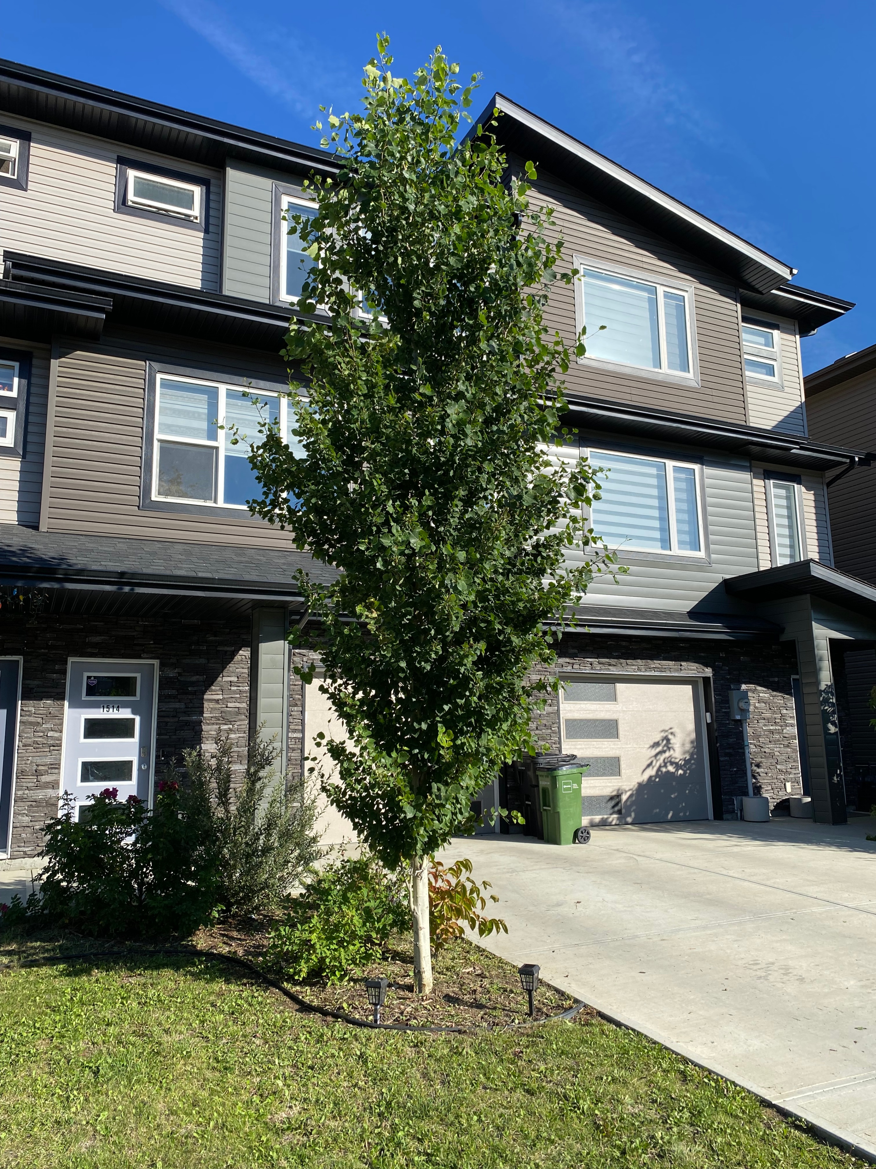 ★⛪★ House for Rent – 3 Bed, 2.5Bath, Attached Garage – $2275 ★⛪★