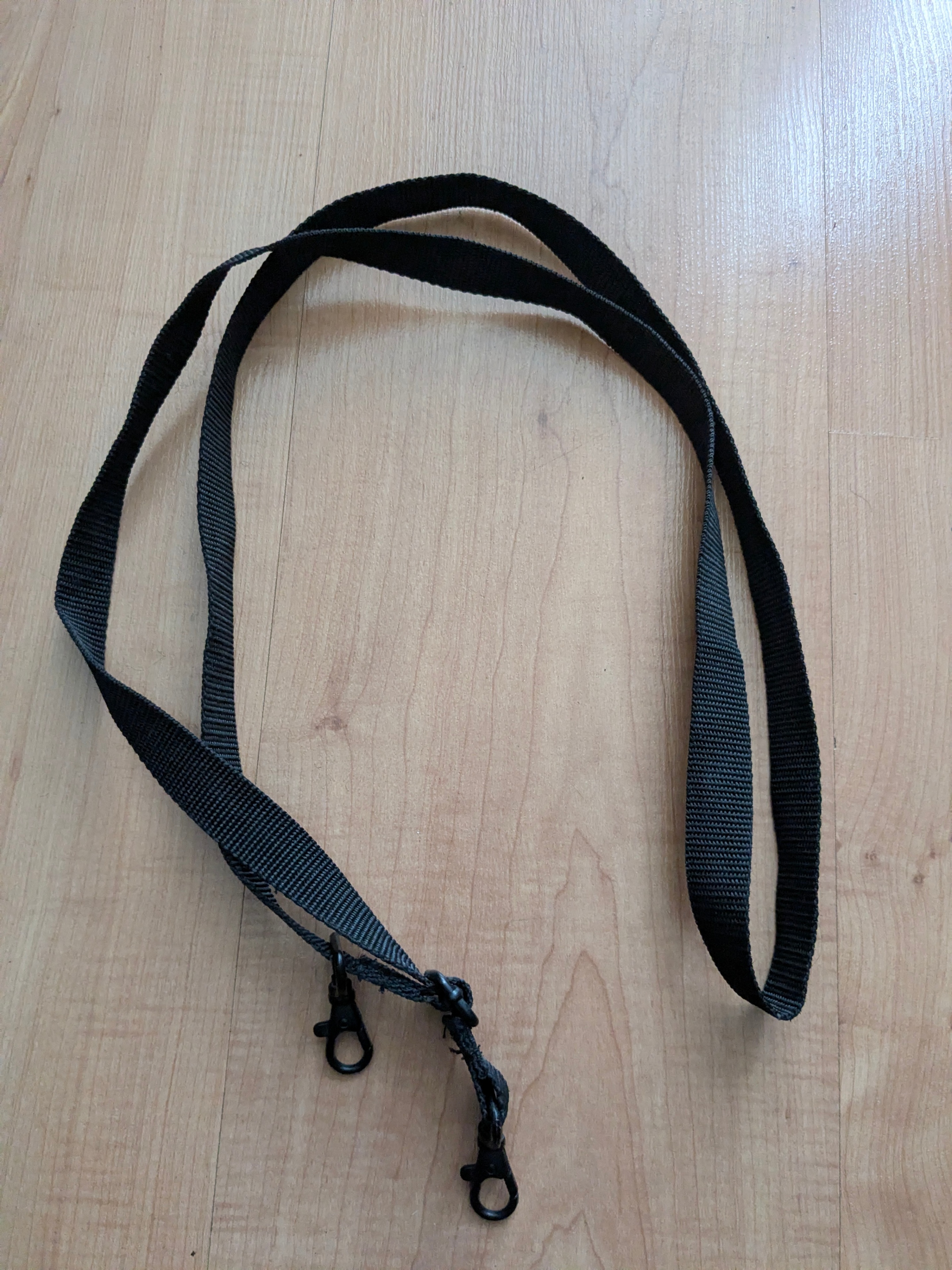 FREE: Camera | Pouch | equipment | lanyard