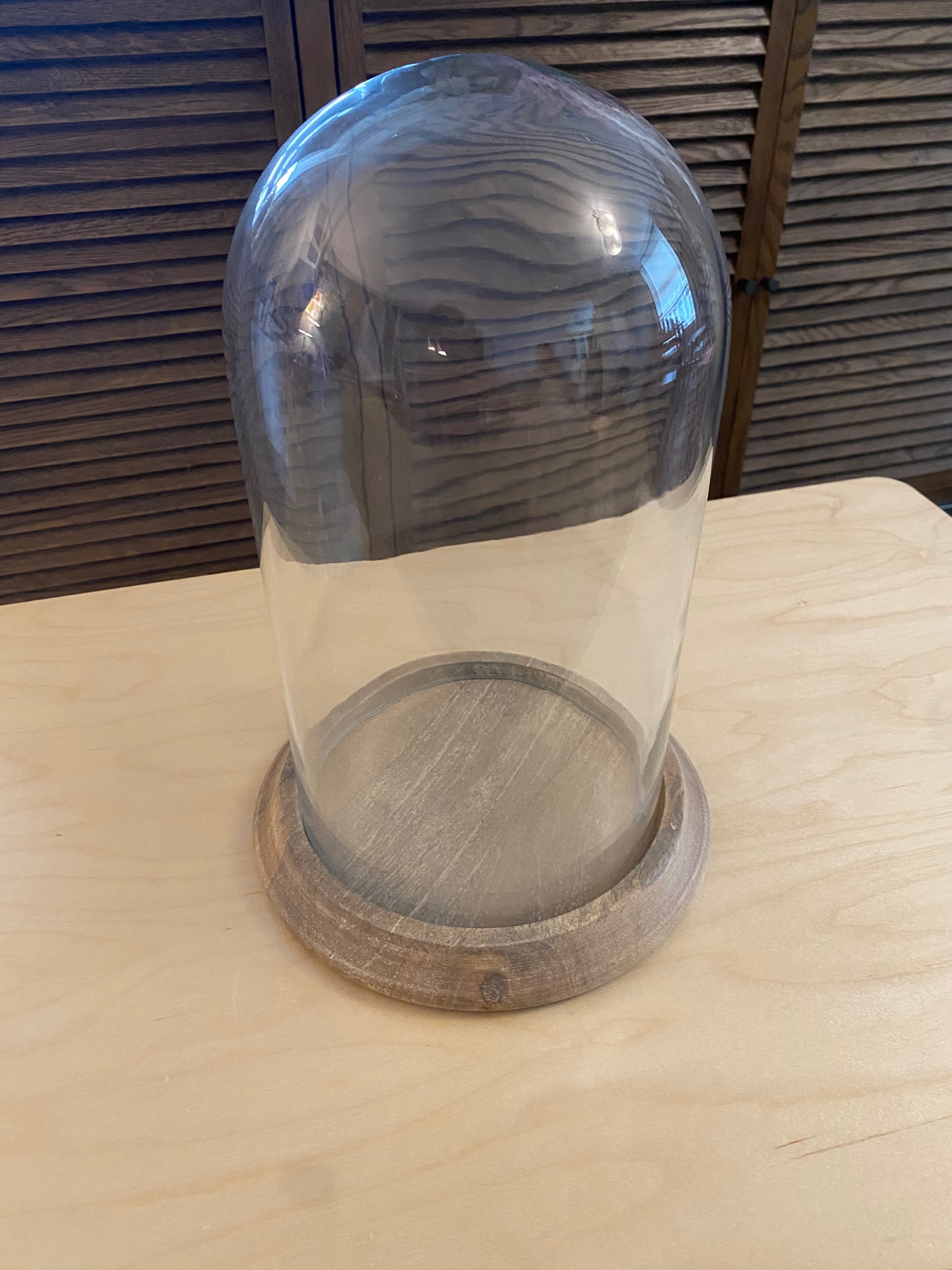 Pottery Barn Seadrift Glass Cloche – Coastal Decor
