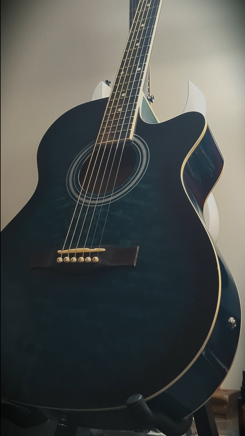 Tagima Acoustic Guitar (with pickups)