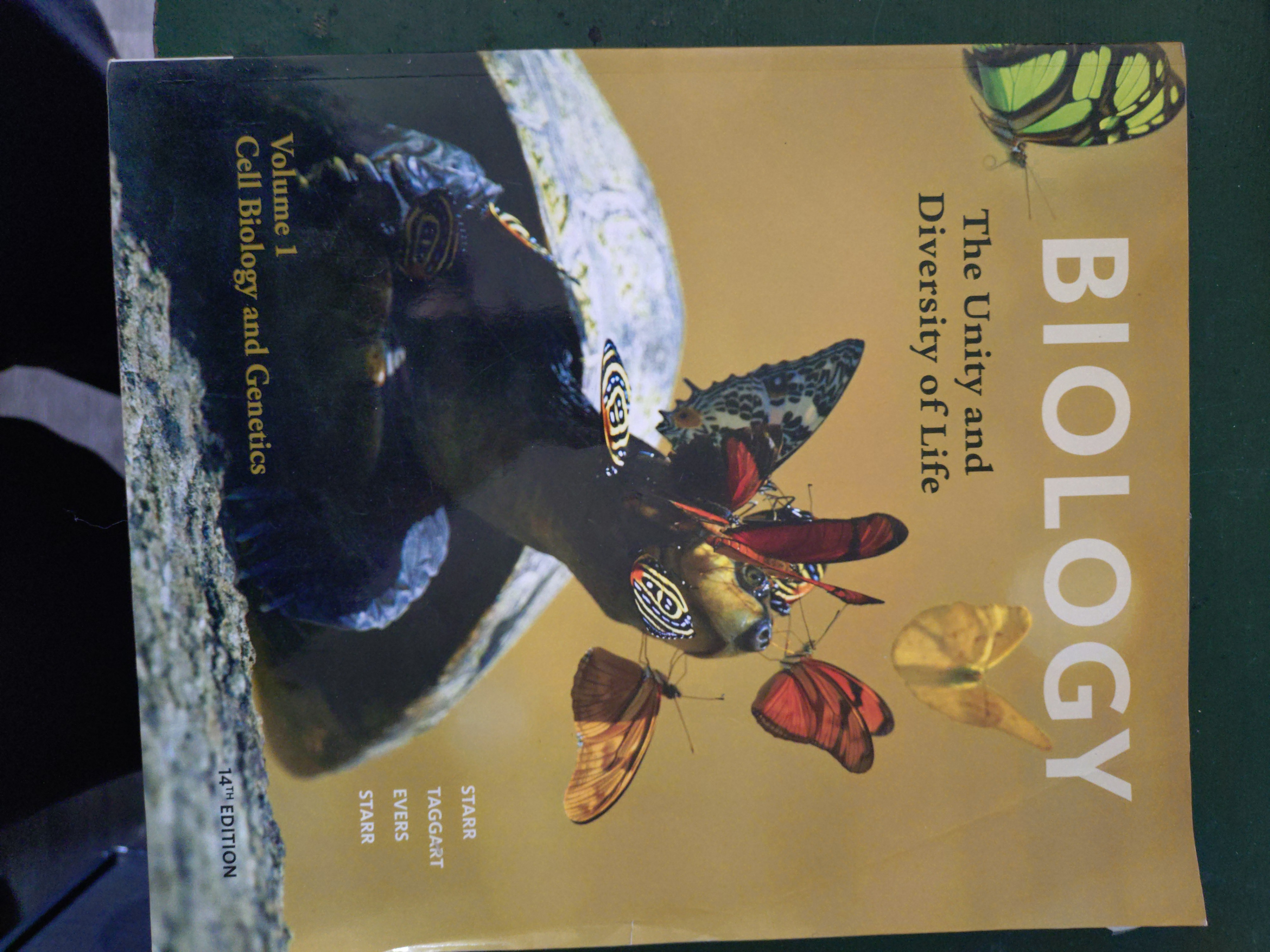 University Textbook & Academic Book Bundle - photo 5