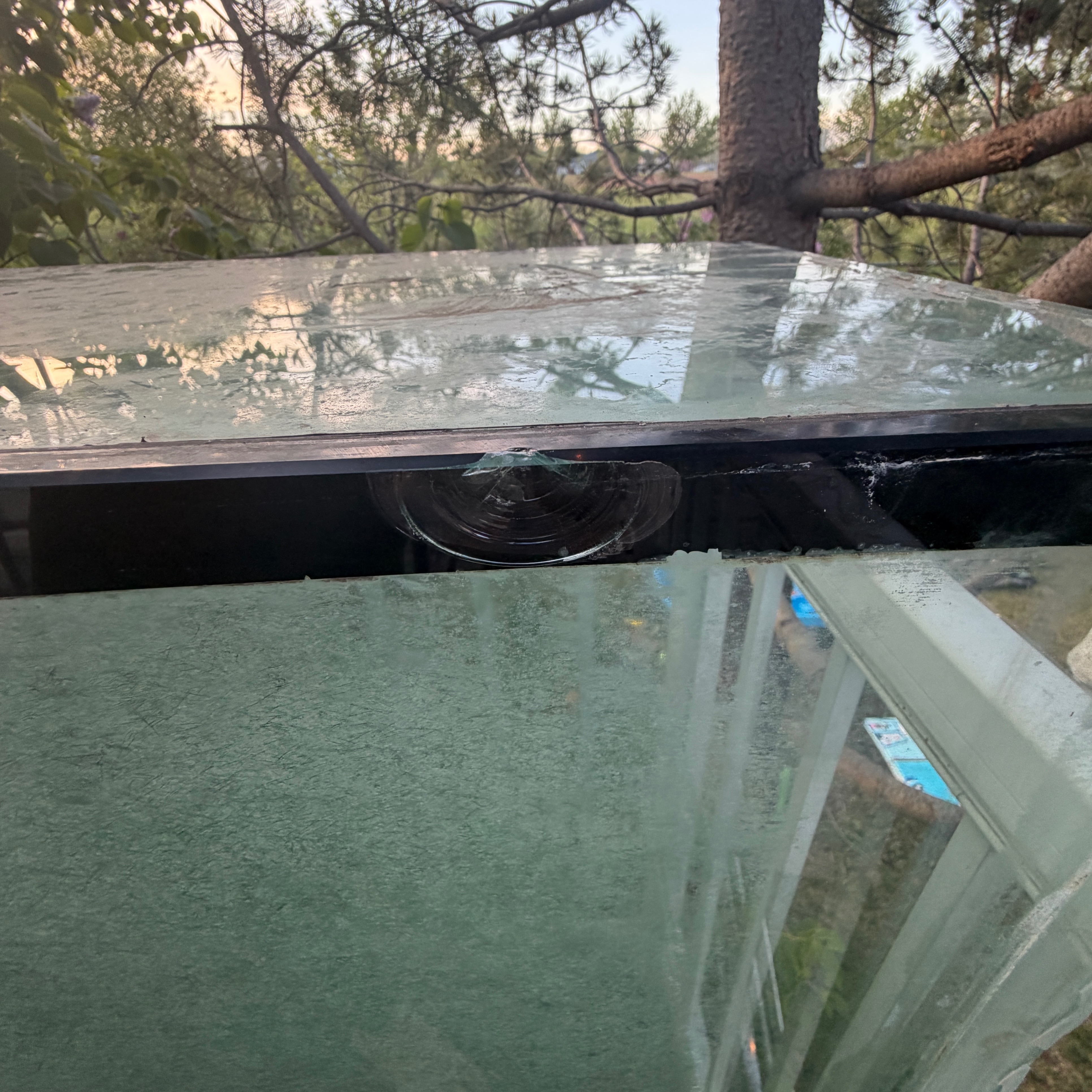FREE 90 Gallon Aquarium Tank - photo 3