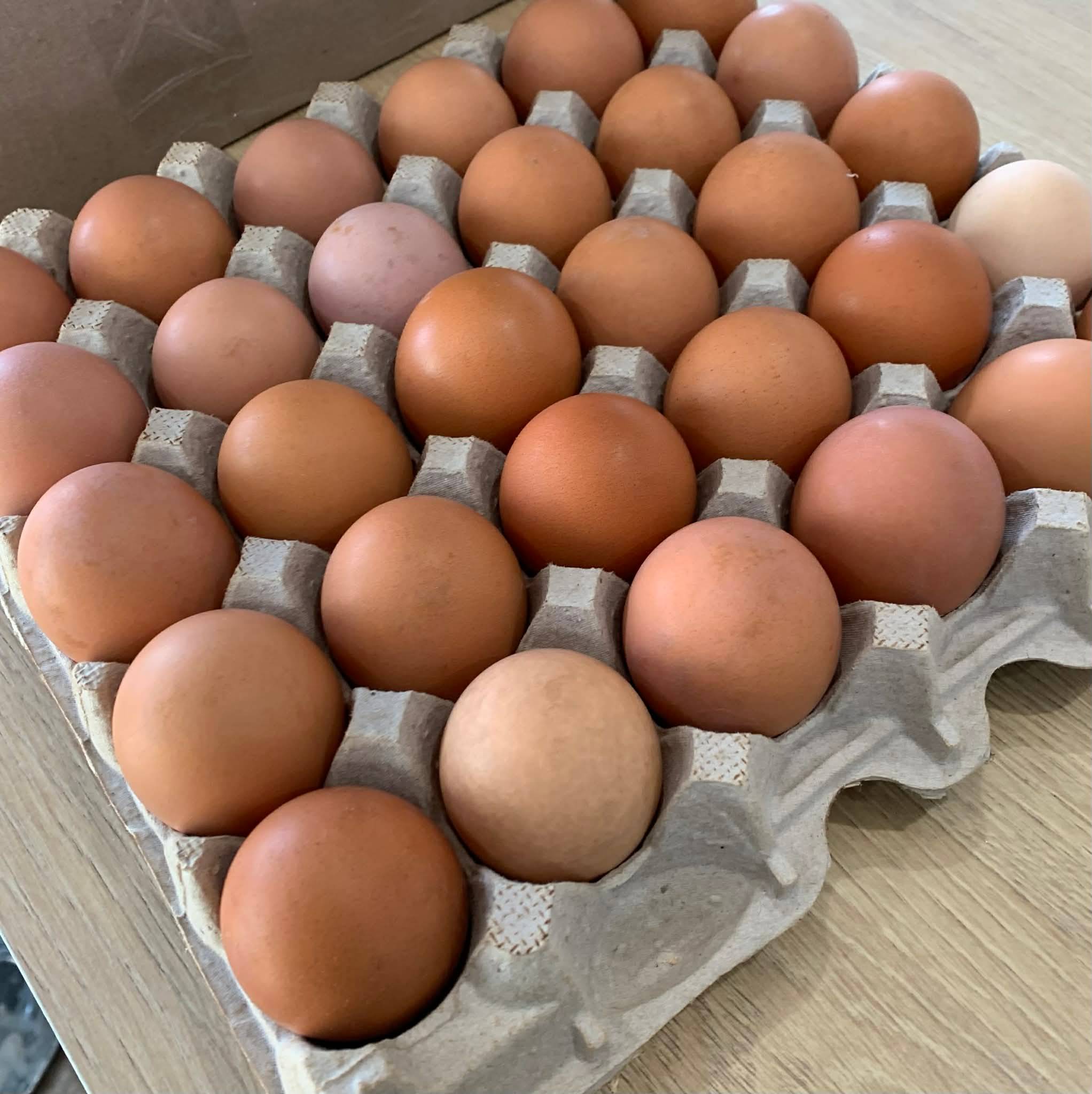 Large Organic Brown eggs from local farm. - photo 4