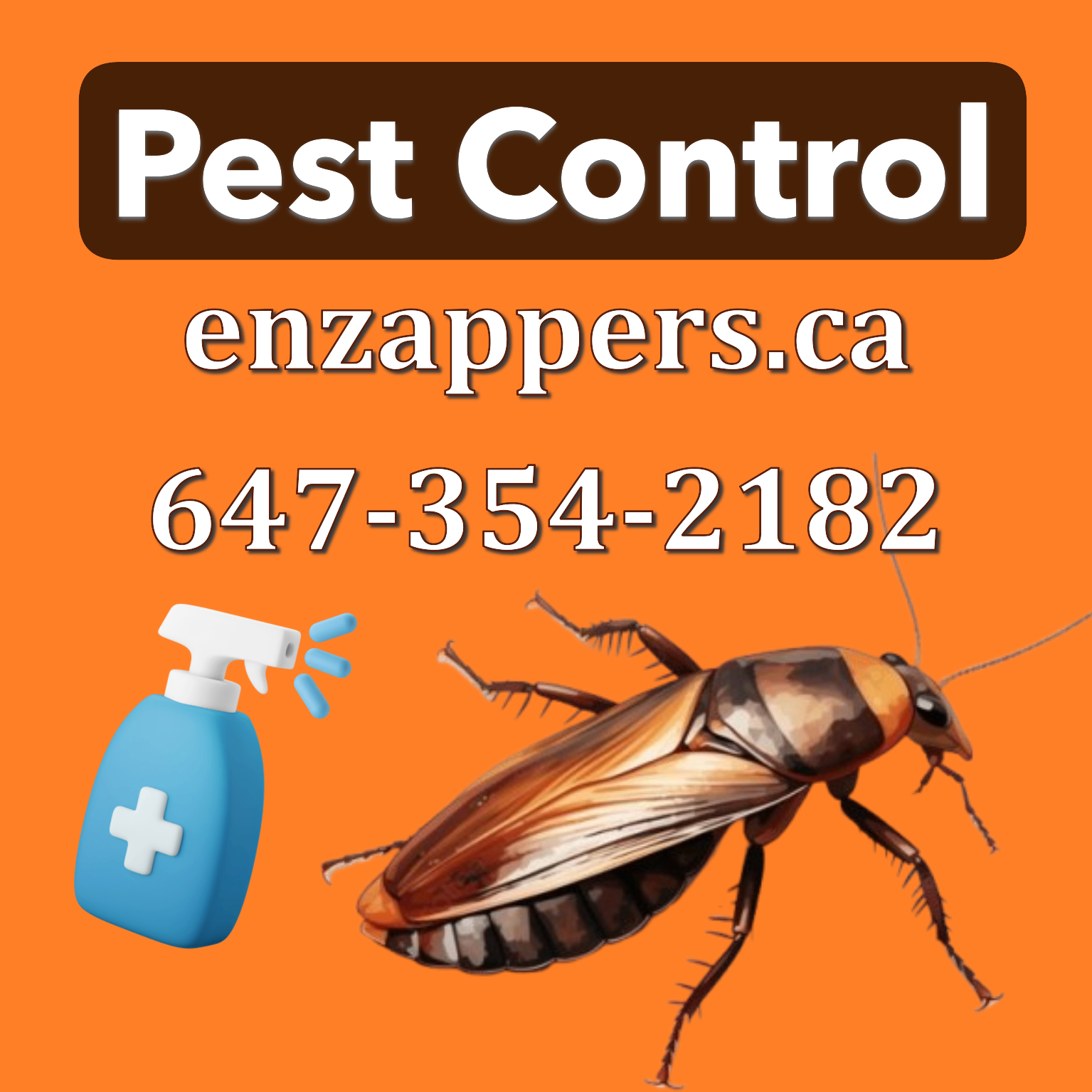 90 Days Warranty Cockroaches Treatment
