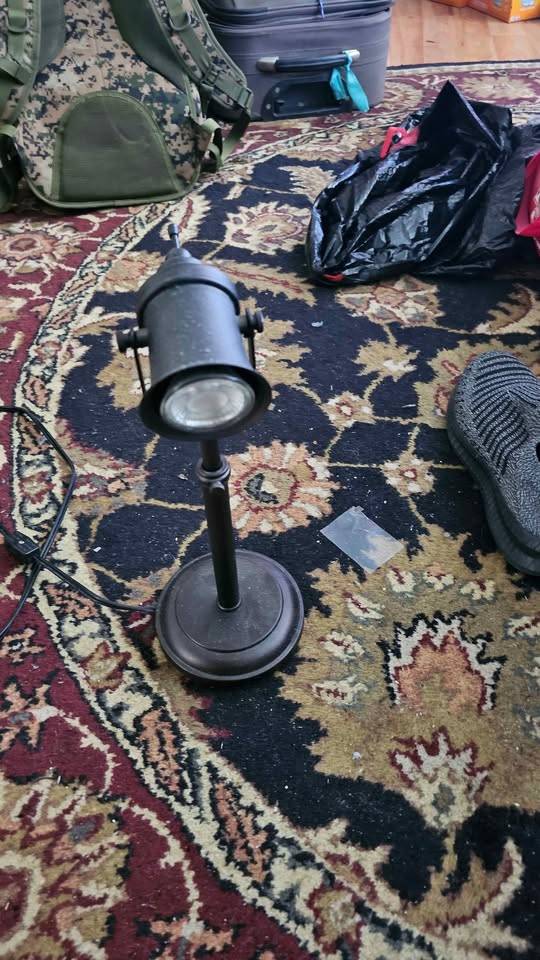 Dark Metal Adjustable Spot Lamp