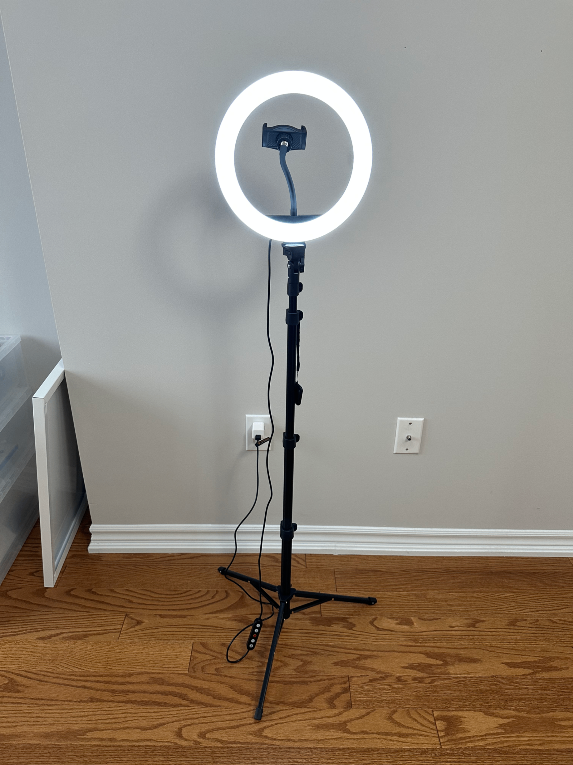 Weilisi 10inch rgb selfie ring light with tripod stand