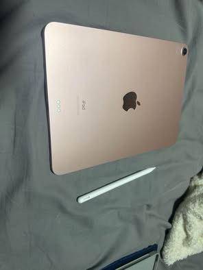 iPad Air 4 (10.9 inch screen)(256GB, Rose Gold, A14 chip) - photo 3