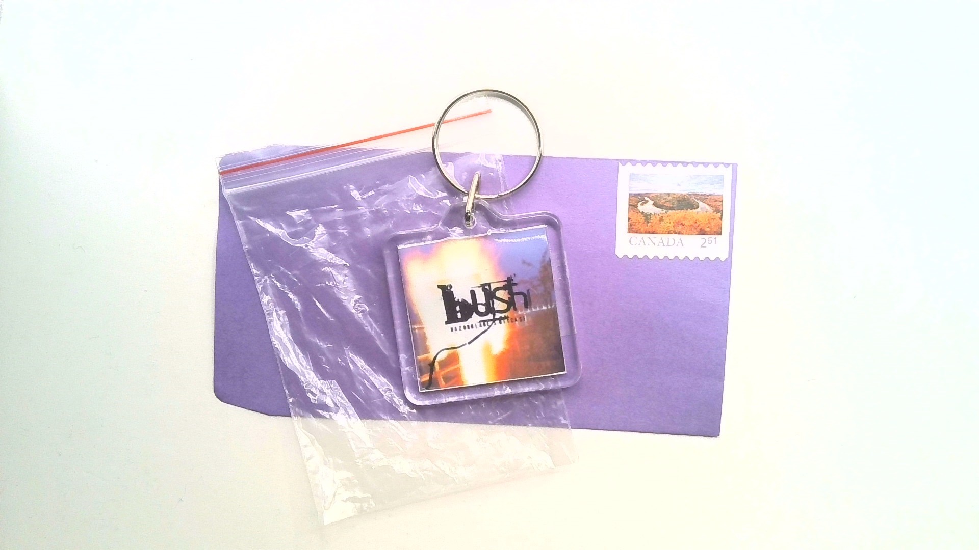 BUSH ( ALBUM KEY CHAIN ) FREE SHIPPING