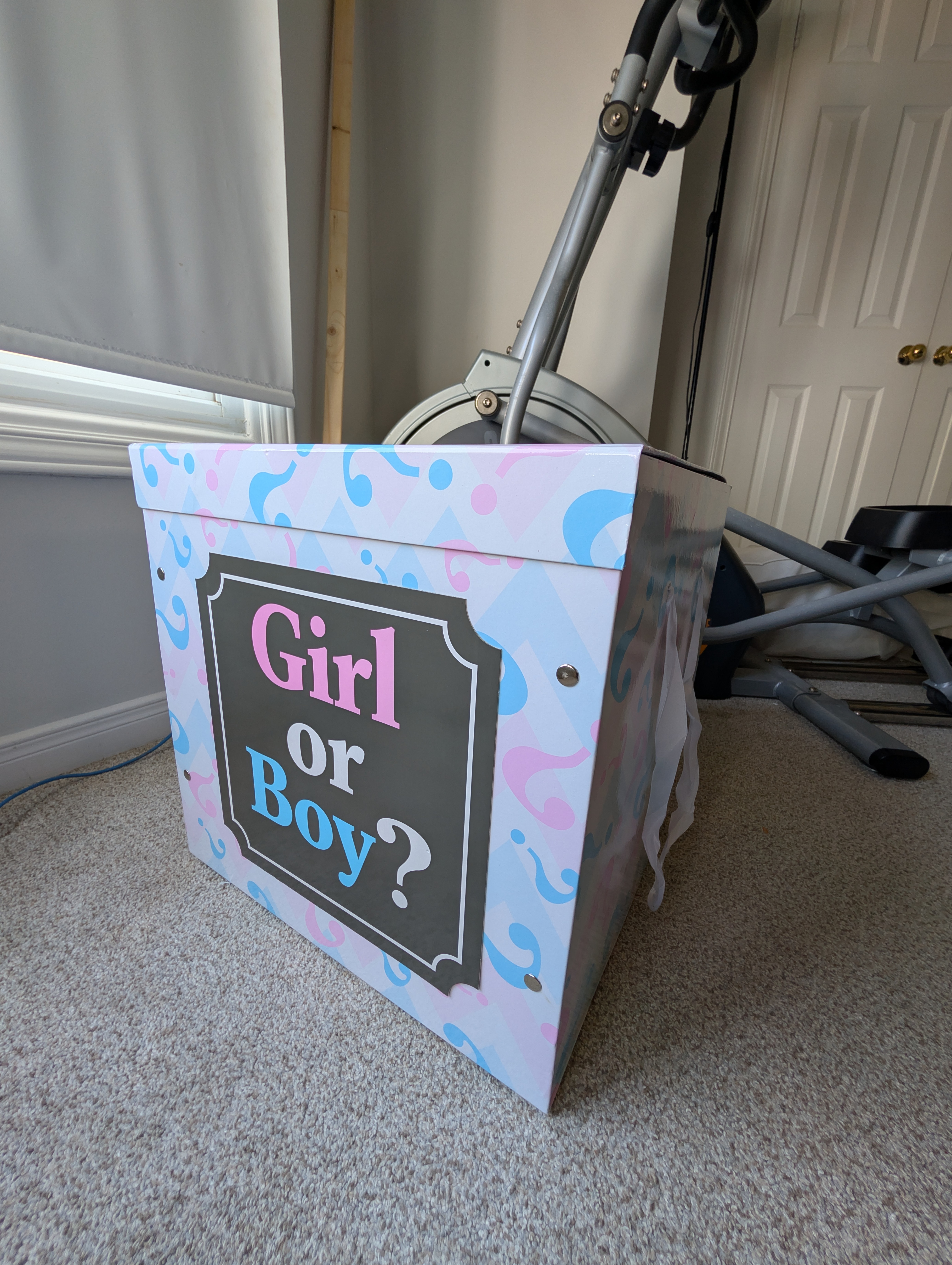Gender Reveal Box (Boy or Girl, Large 17.5” Cube)