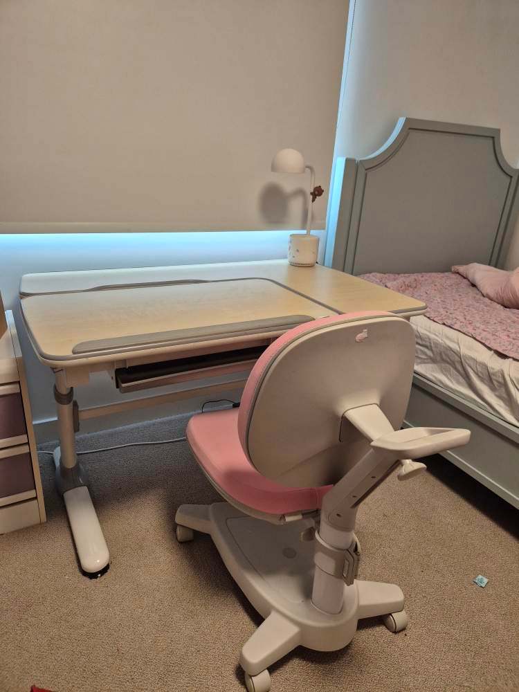 Adjustable Kids Study Desk & Ergonomic Chair Set