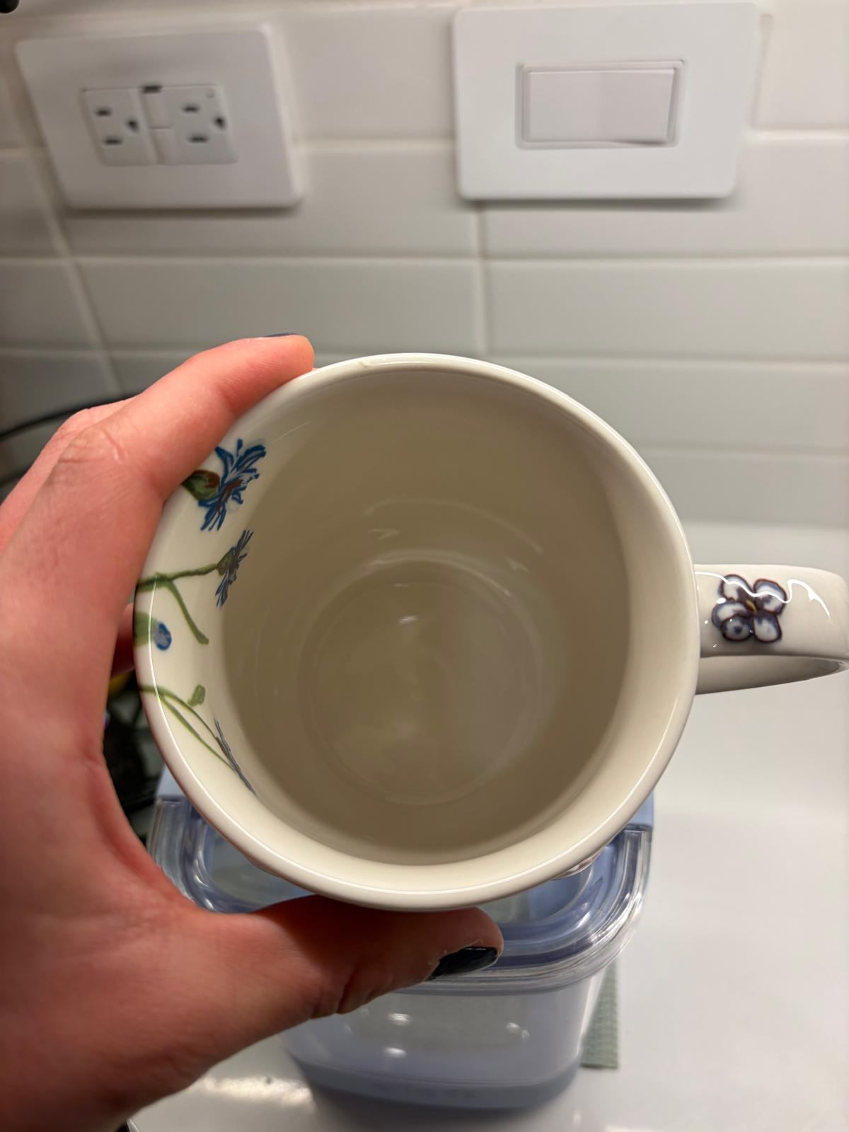 Anthropologie Garden Mug - photo 3