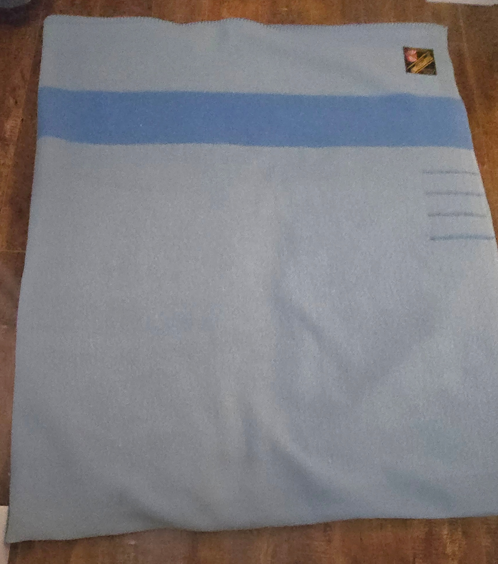 VINTAGE EATON'S 4 POINT 100% WOOL TRAPPER BLANKET BLUE on BLUE