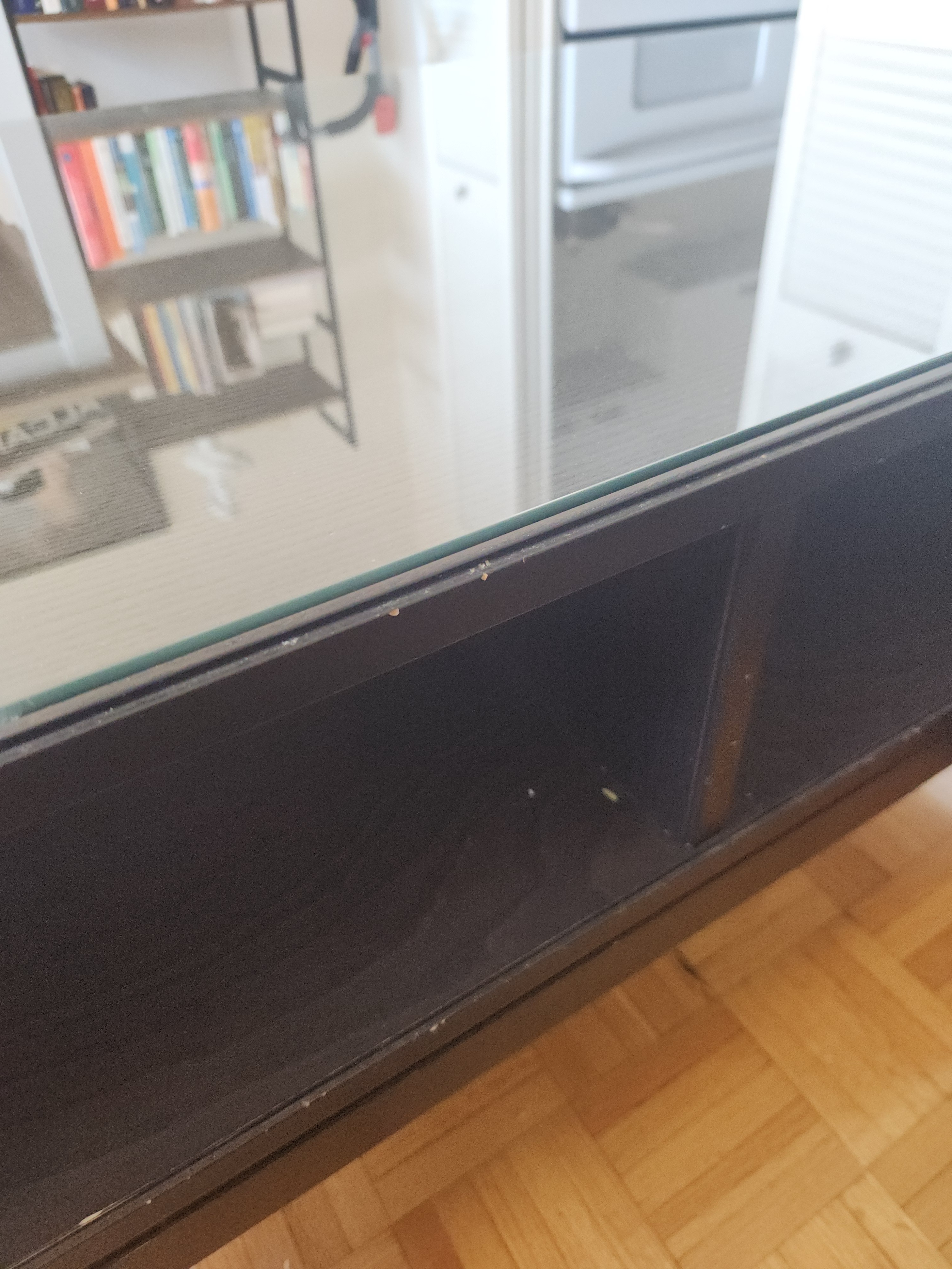 REGISSOR Ikea coffee table, glass top - photo 3