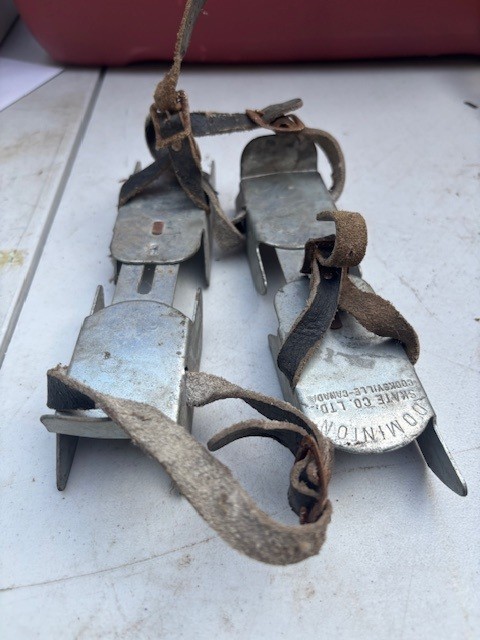 Vintage Dominion Bob Skates