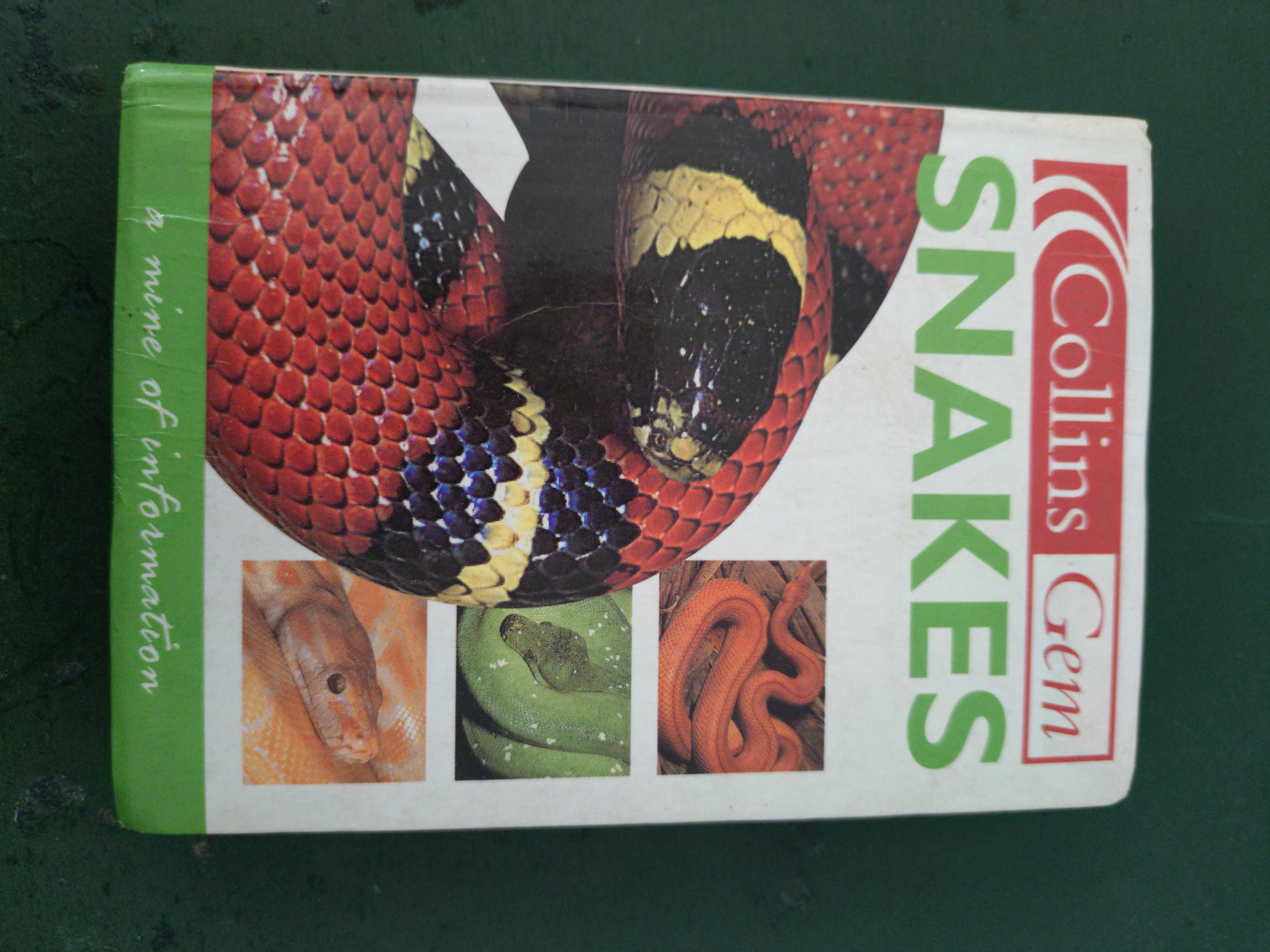 Pets, Reptiles & Animal Care Book Bundle