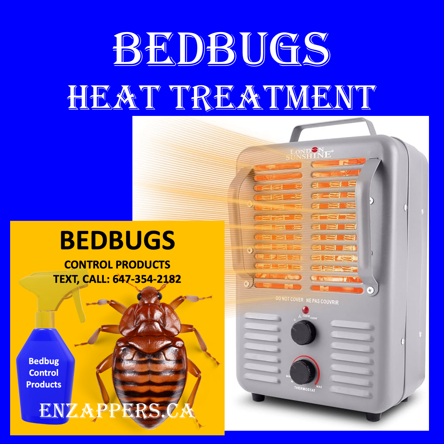 BedBugs Heat Treatment