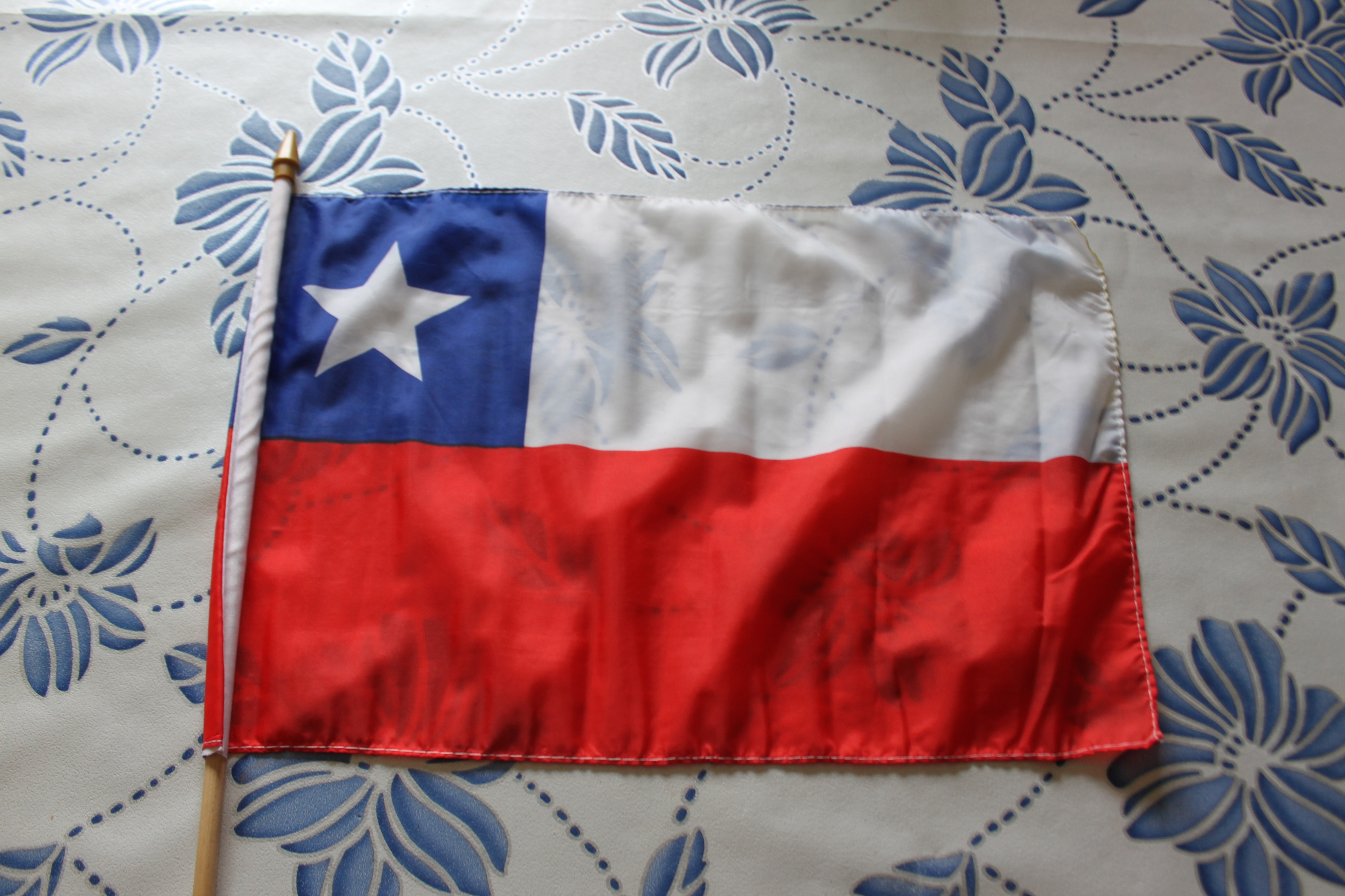 Chile Flag With Waving Stick