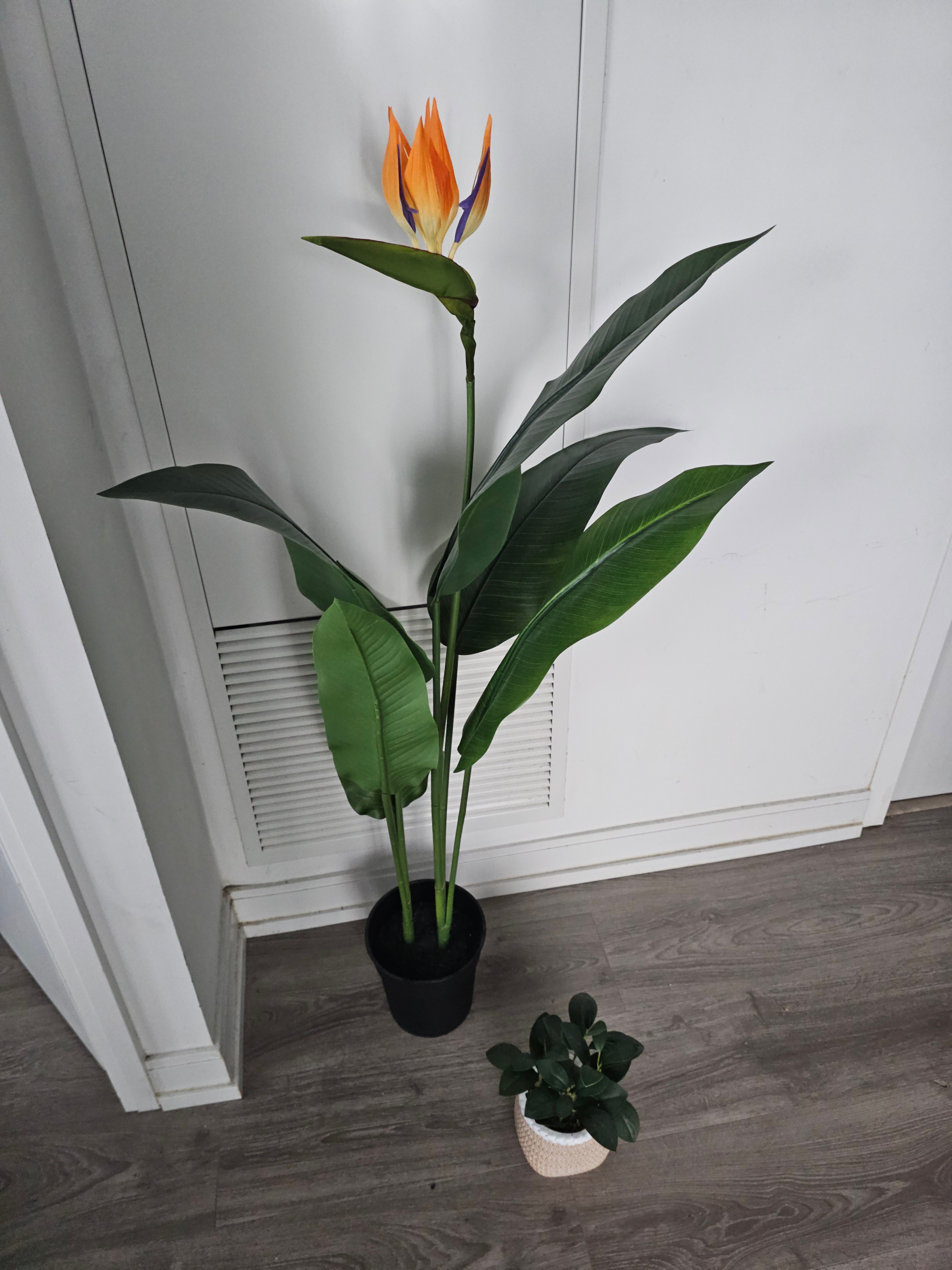 Ikea fake plants for sale