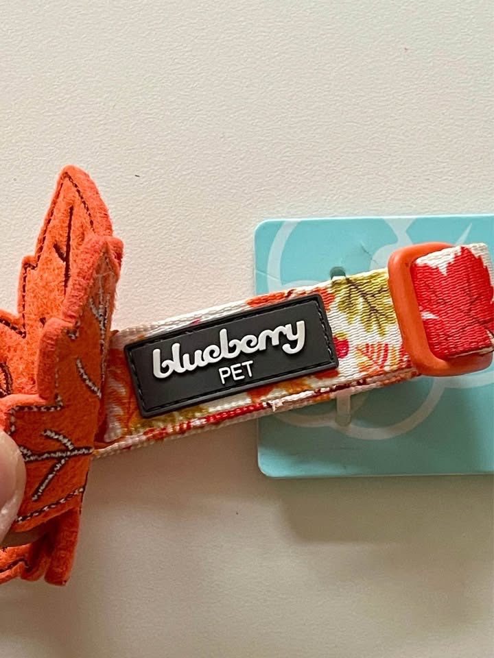 Dog Collar NEW - Blueberry Pet Fall Maple Leaf Thanksgiving - photo 2