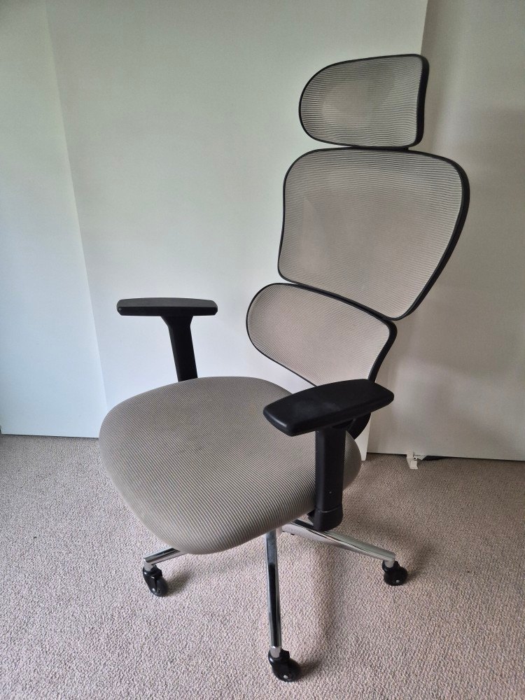 Sytas Ergonomic Mesh Office Chair – Moving Sale - photo 3