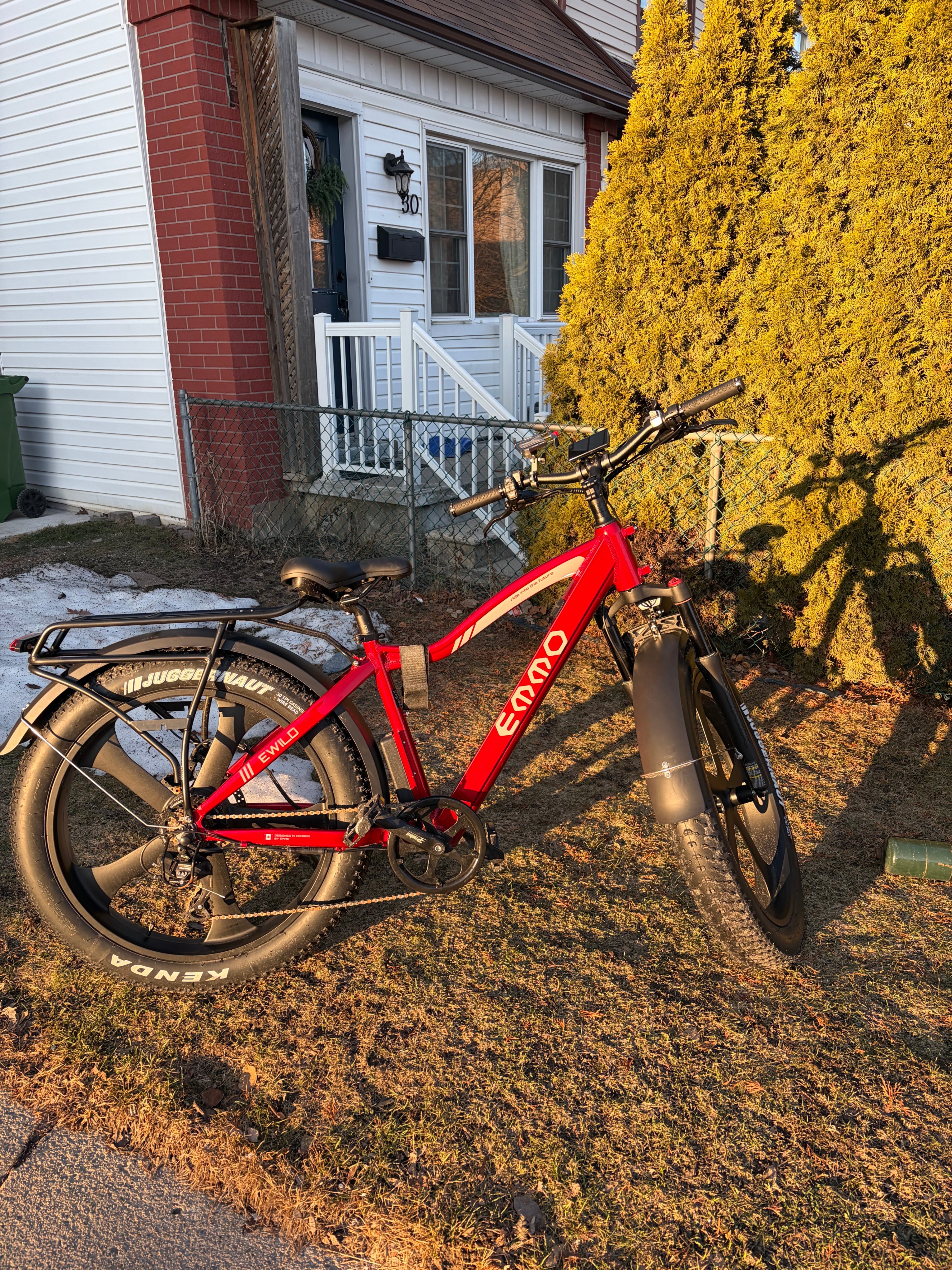 E-Wild Pro Ebike
