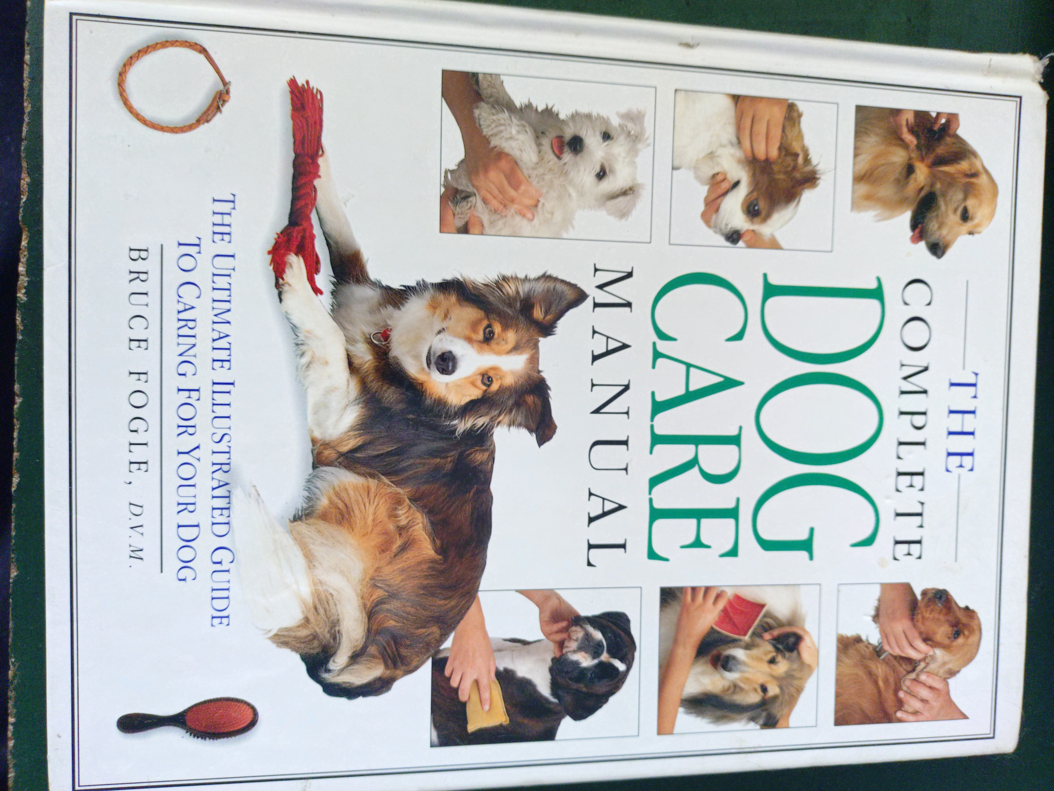 Pets, Reptiles & Animal Care Book Bundle - photo 3