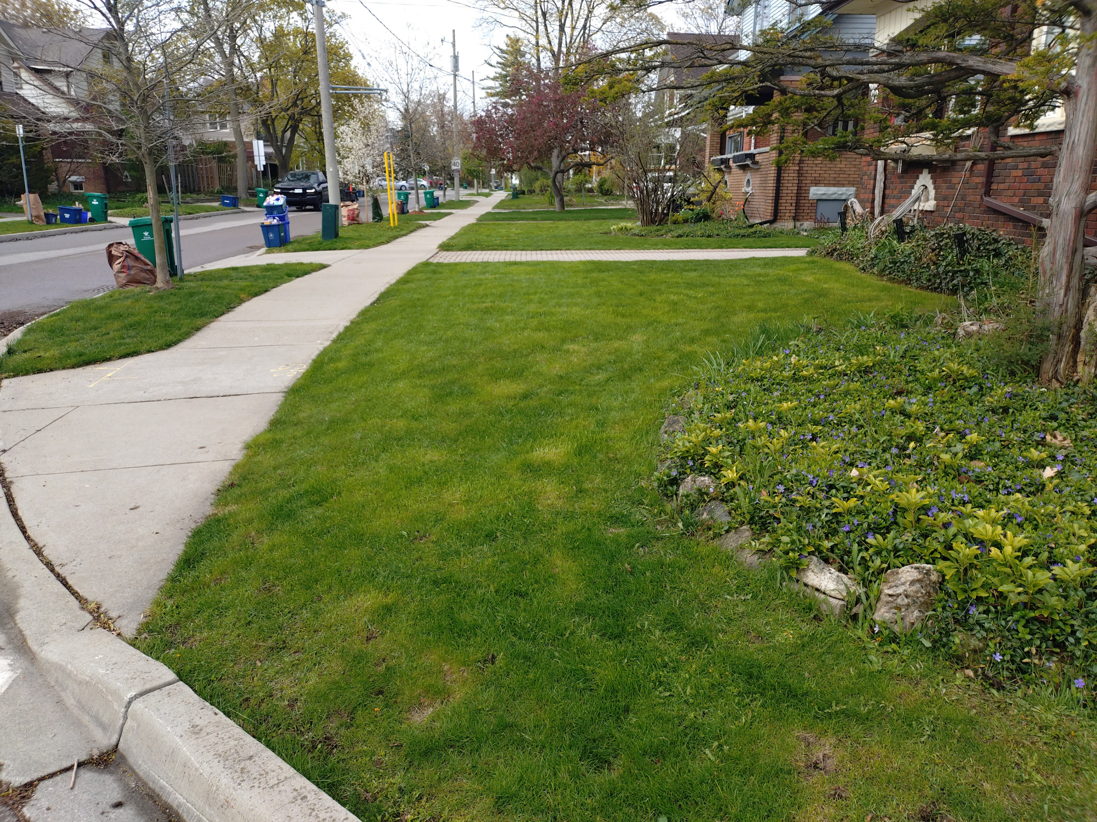 Affordable Lawn Care – Kitchener, Waterloo, Cambridge & Guelph